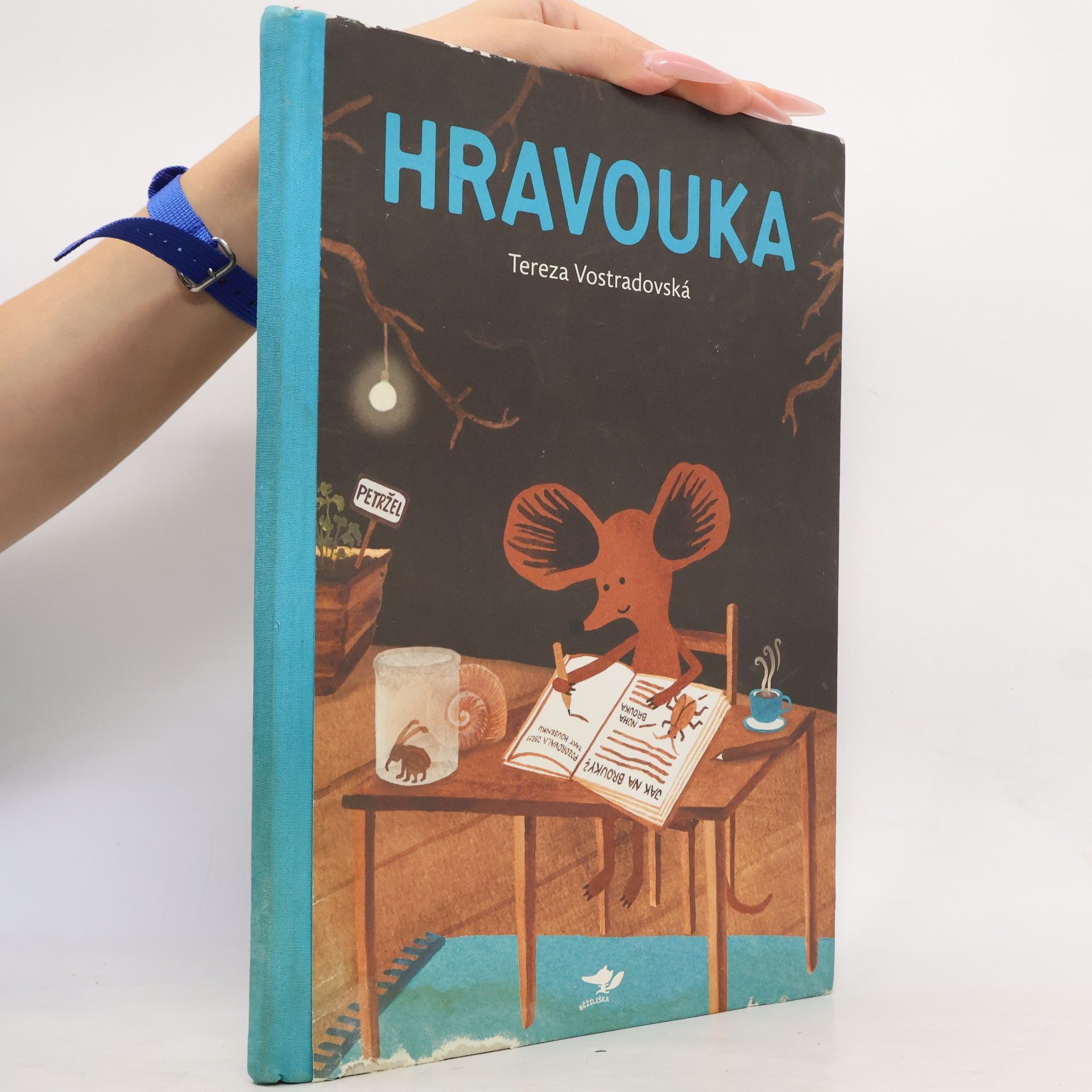 Tereza Vostradovská Hravouka