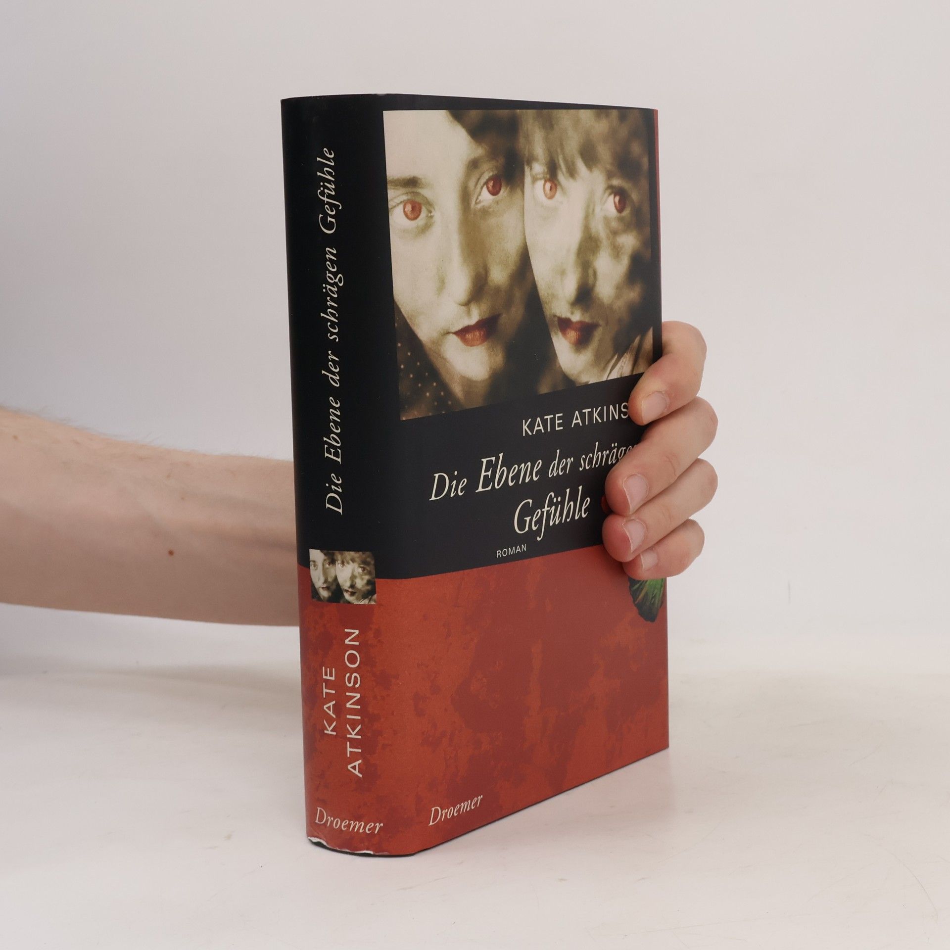 Kate Atkinson Die Ebene der schrägen Gefühle