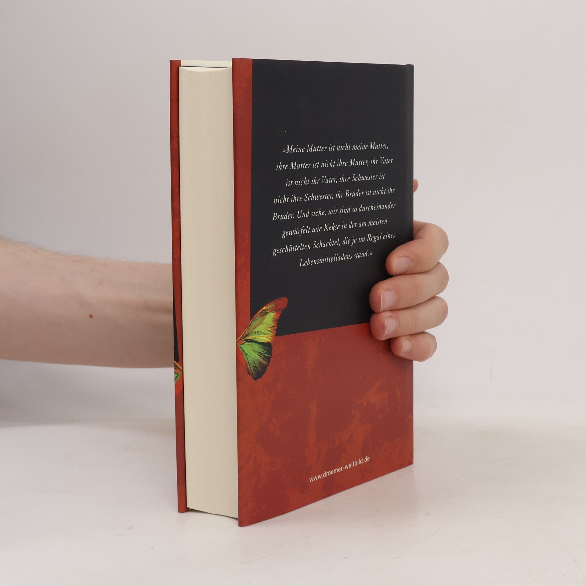 Kate Atkinson Die Ebene der schrägen Gefühle
