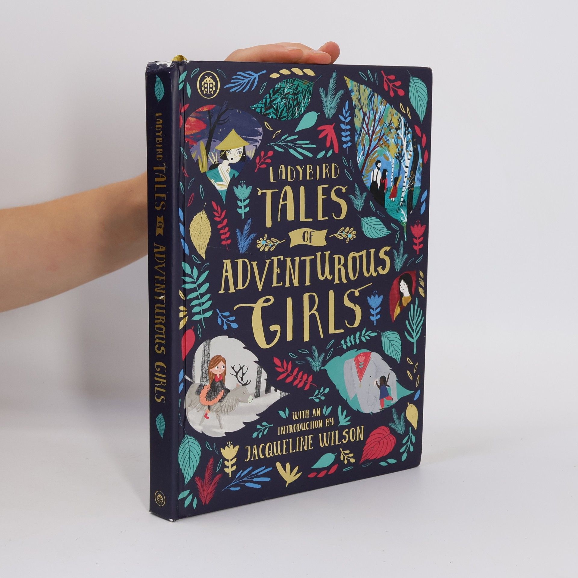 Kolektív autorov Ladybird Tales of Adventurous Girls
