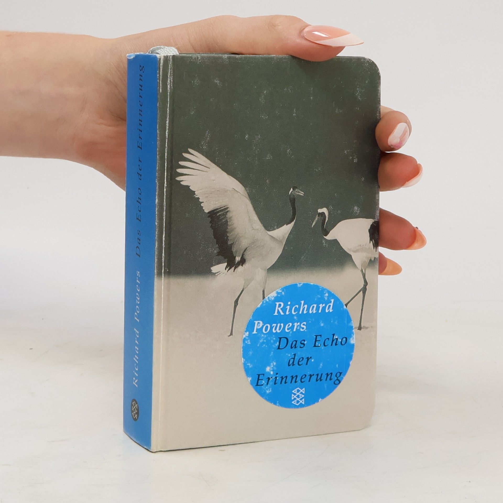 Richard Powers Das Echo der Erinnerung