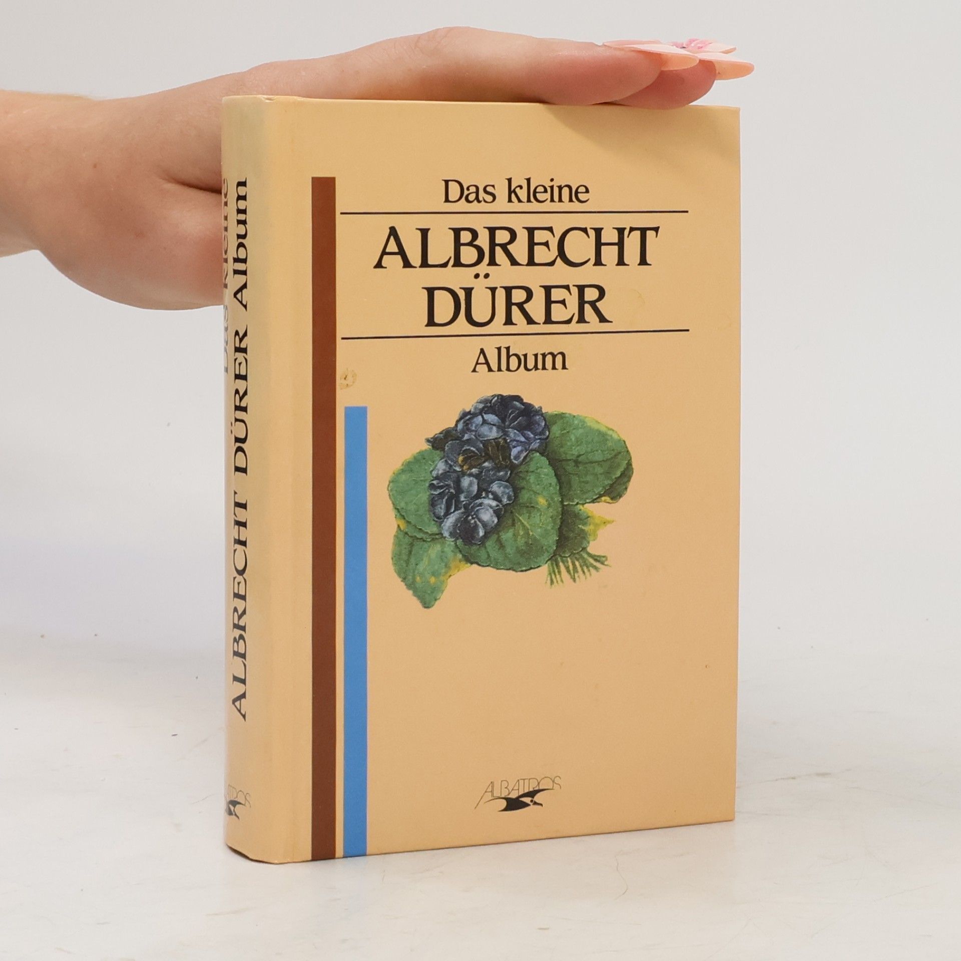 Albrecht Dürer Das kleine Albrecht-Dürer-Album