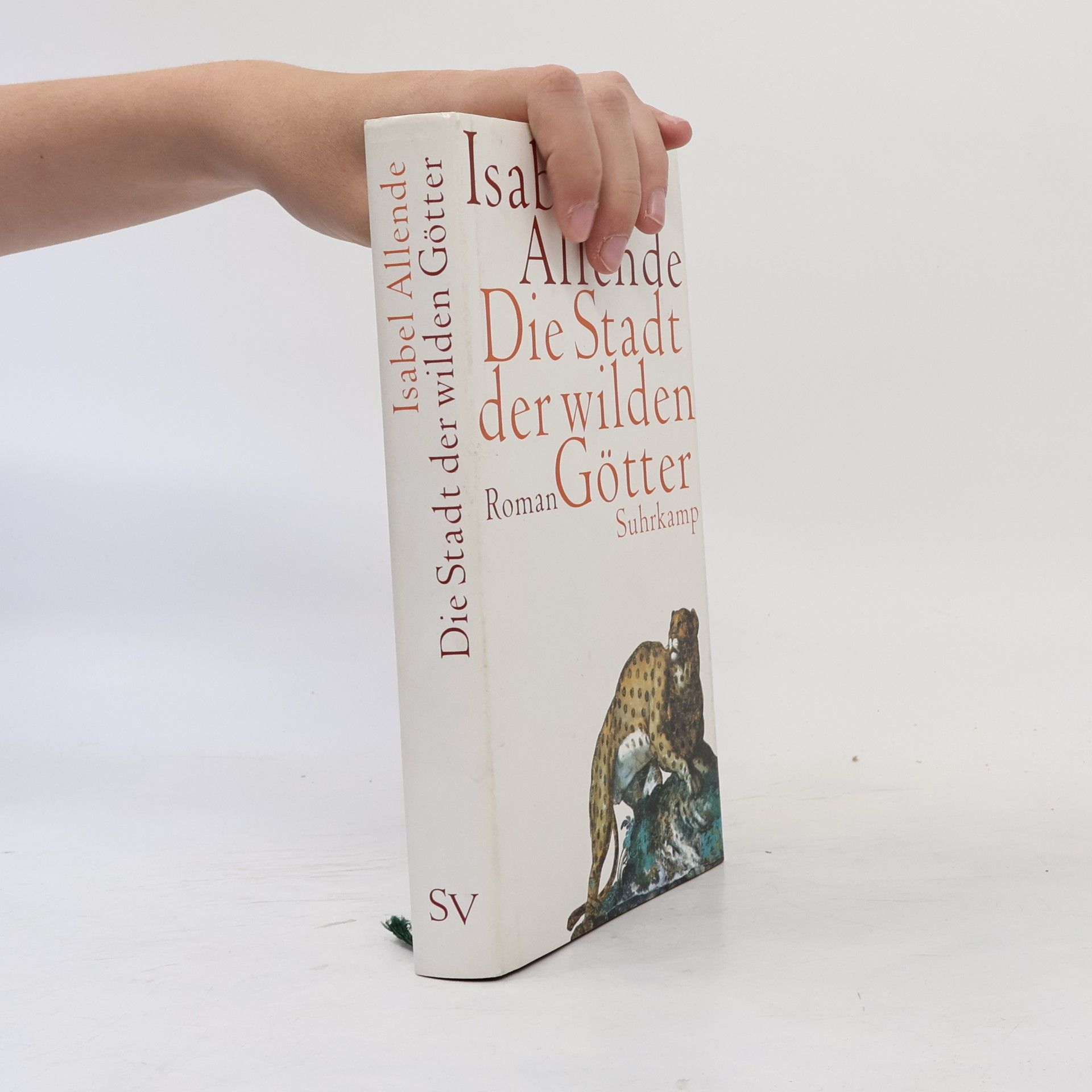 Isabel Allende Die Stadt der wilden Götter