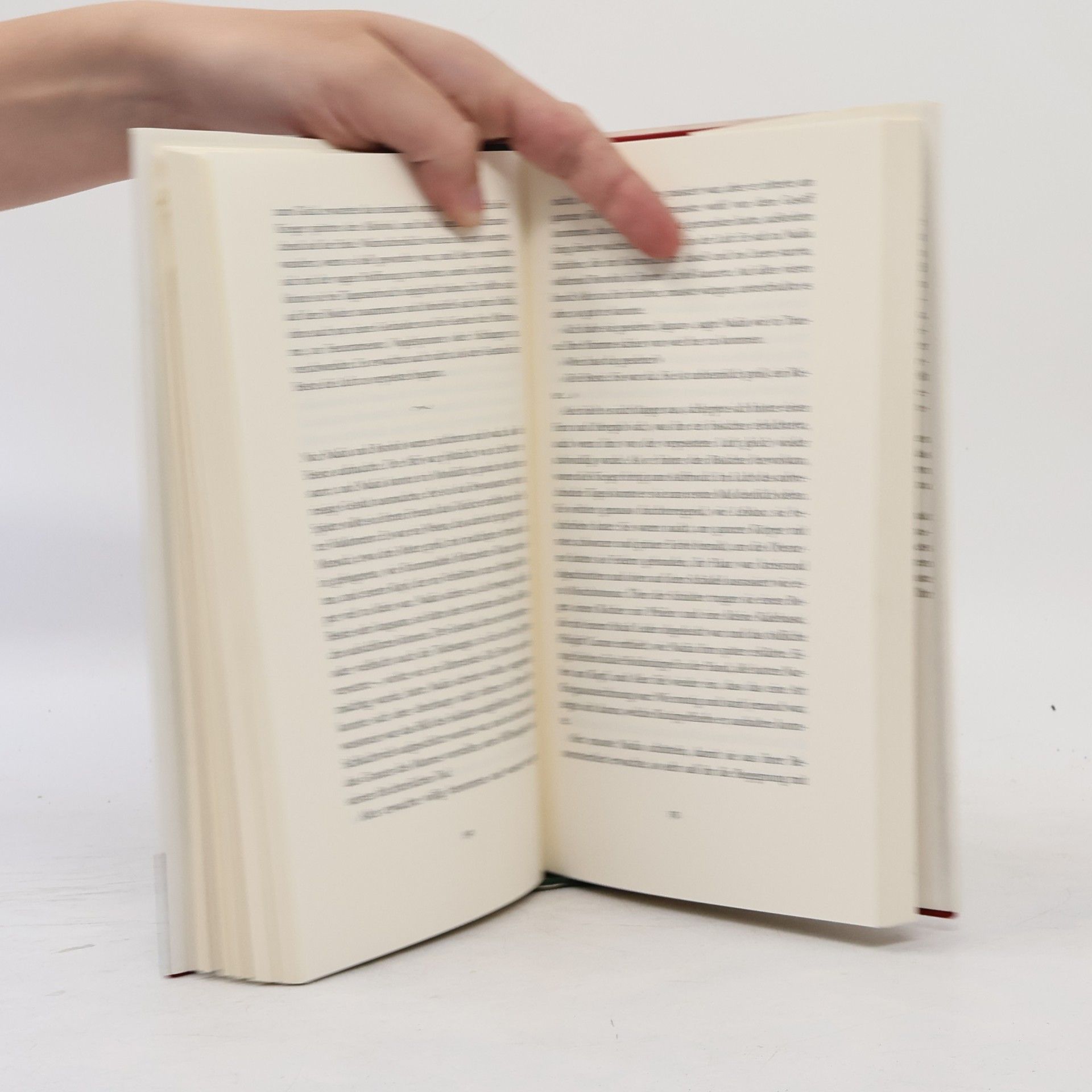 Isabel Allende Die Stadt der wilden Götter