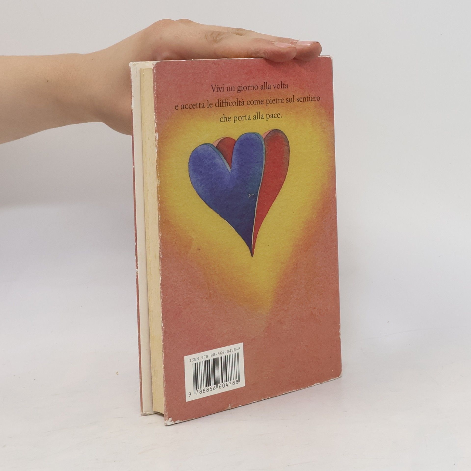 Marcia Grad Powers Il cavaliere che aveva un peso sul cuore. Una storia indimenticabile per ritrovare la felicità e la serenità