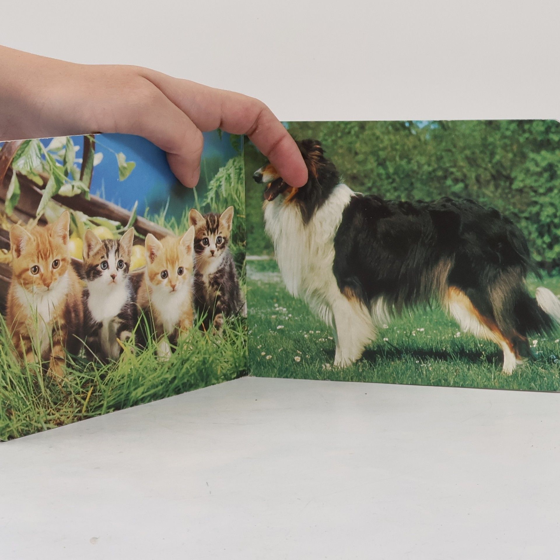 Autorenkollektiv Muntere Tiere