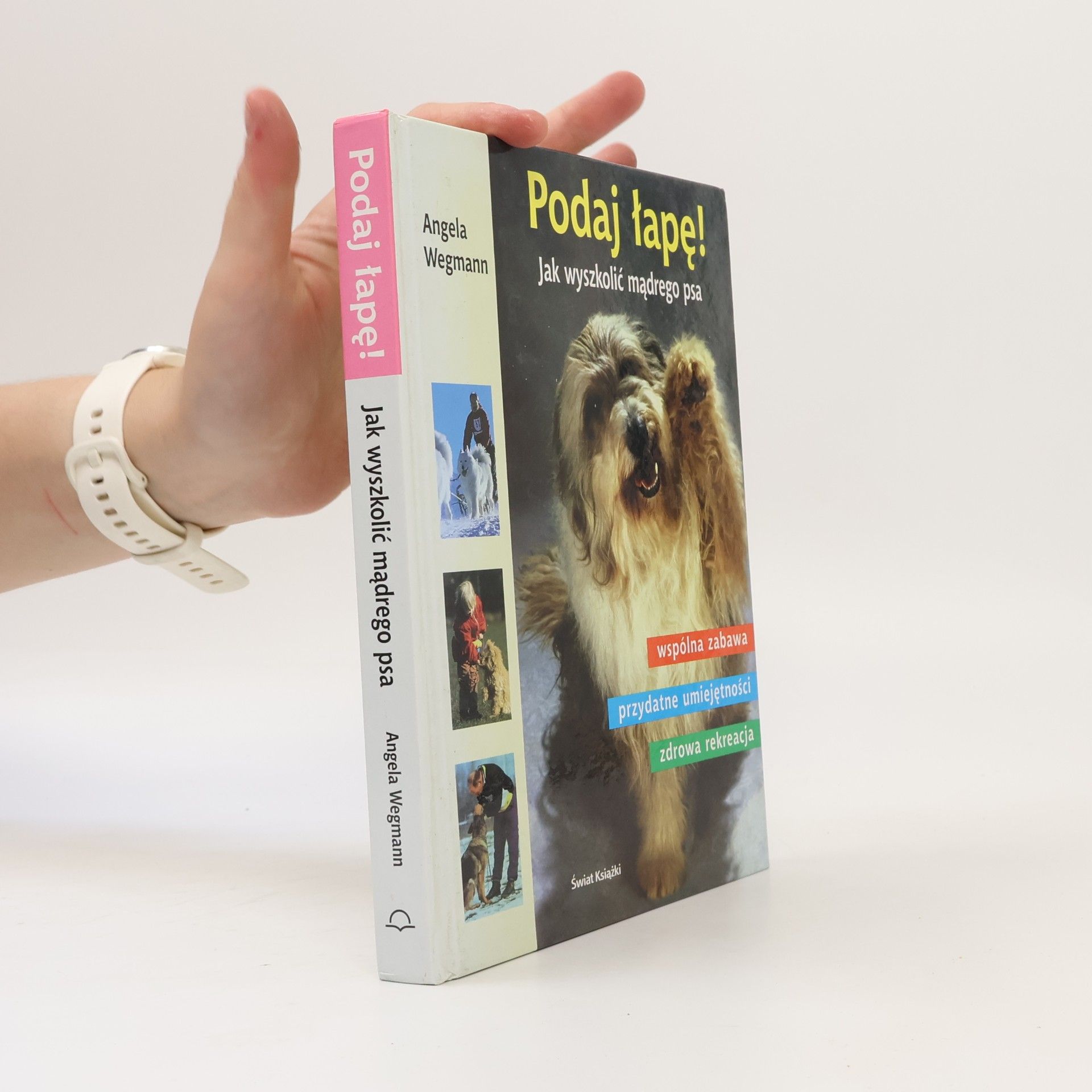 Podaj łapę! Jak wyszkolić mądrego psa