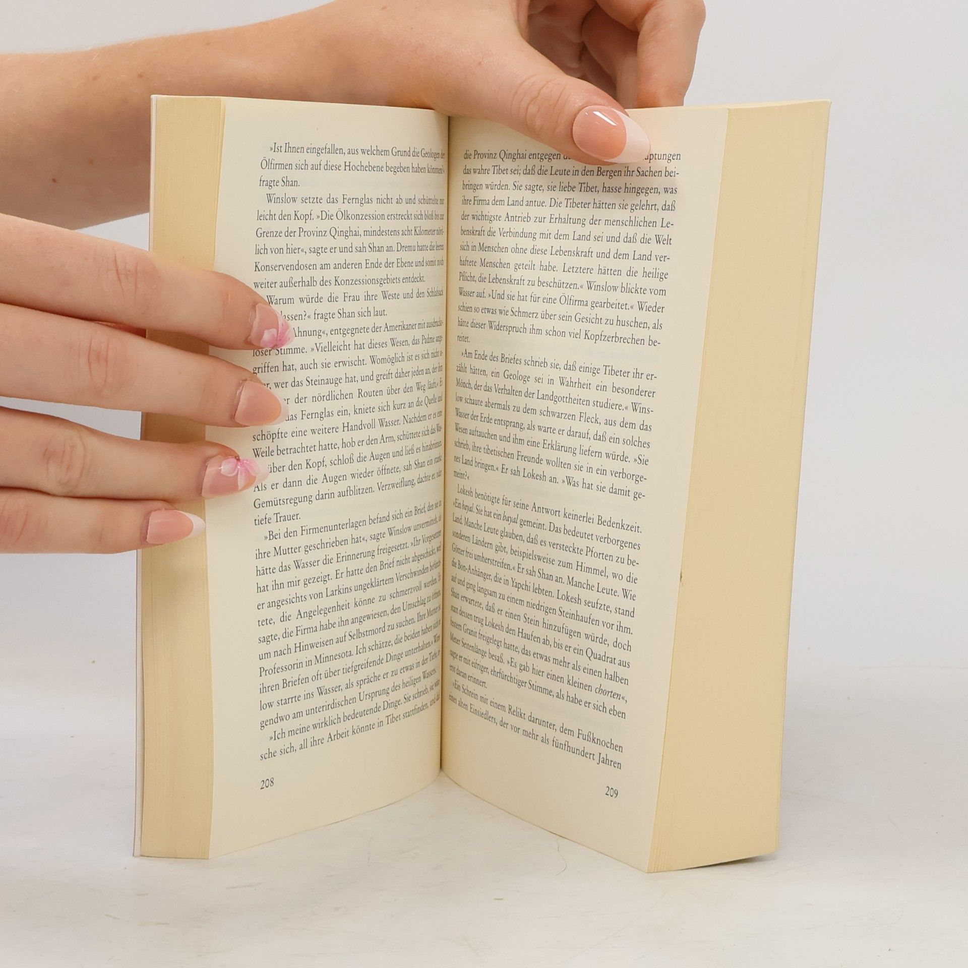 Eliot Pattison Das tibetische Orakel