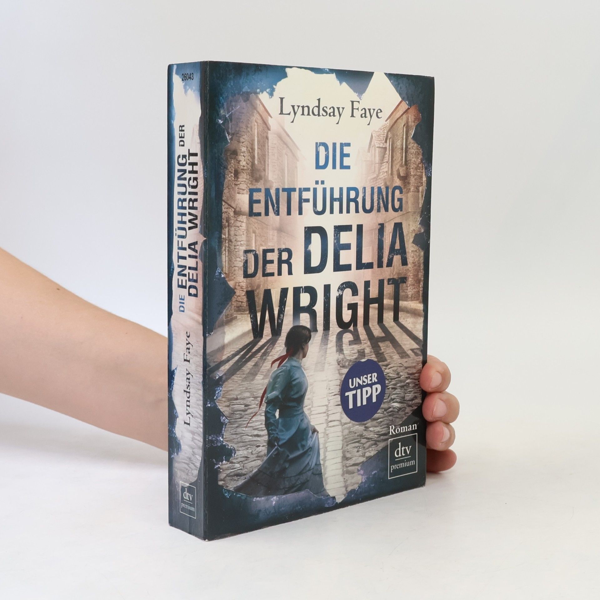 Lyndsay Faye Die Entführung der Delia Wright