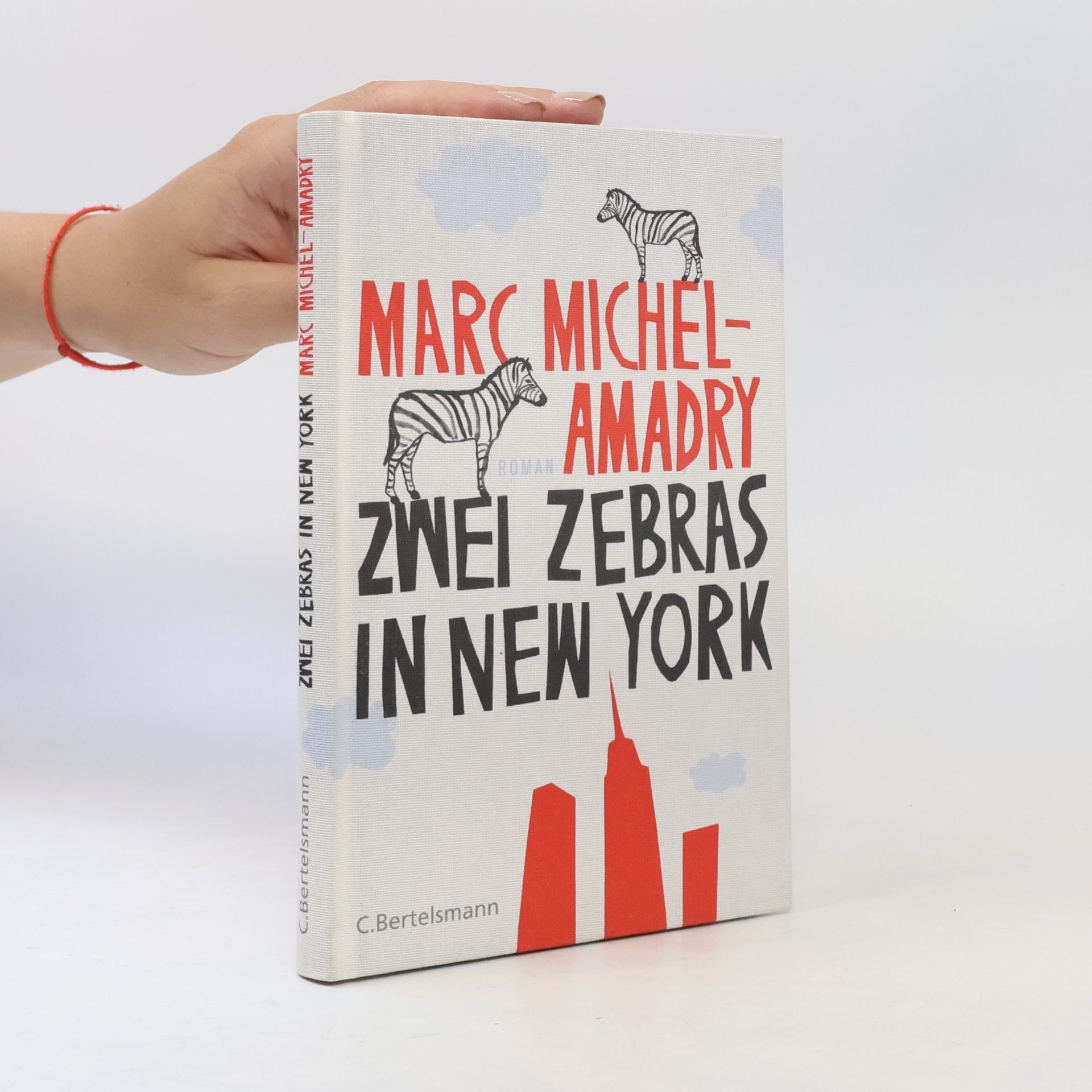 Marc Michel-Amadry Zwei Zebras in New York