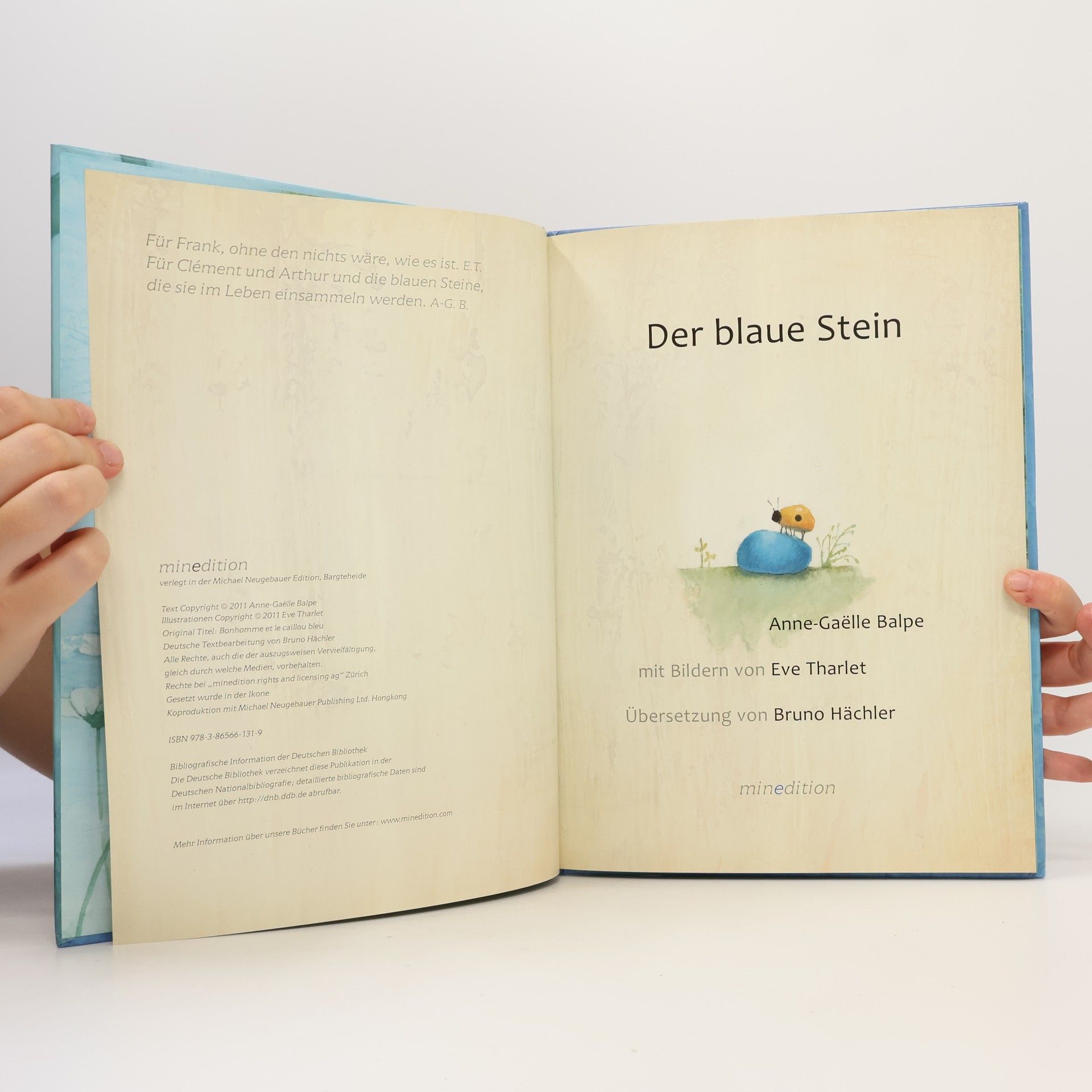 Anne-Gaëlle Balpe Der blaue Stein