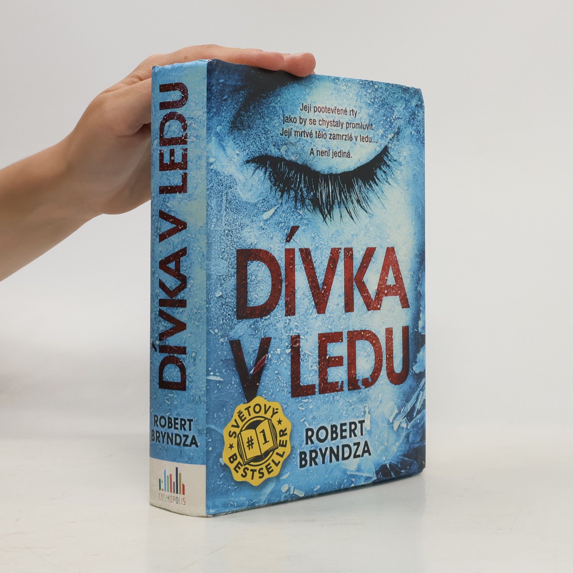 Robert Bryndza Dívka v ledu