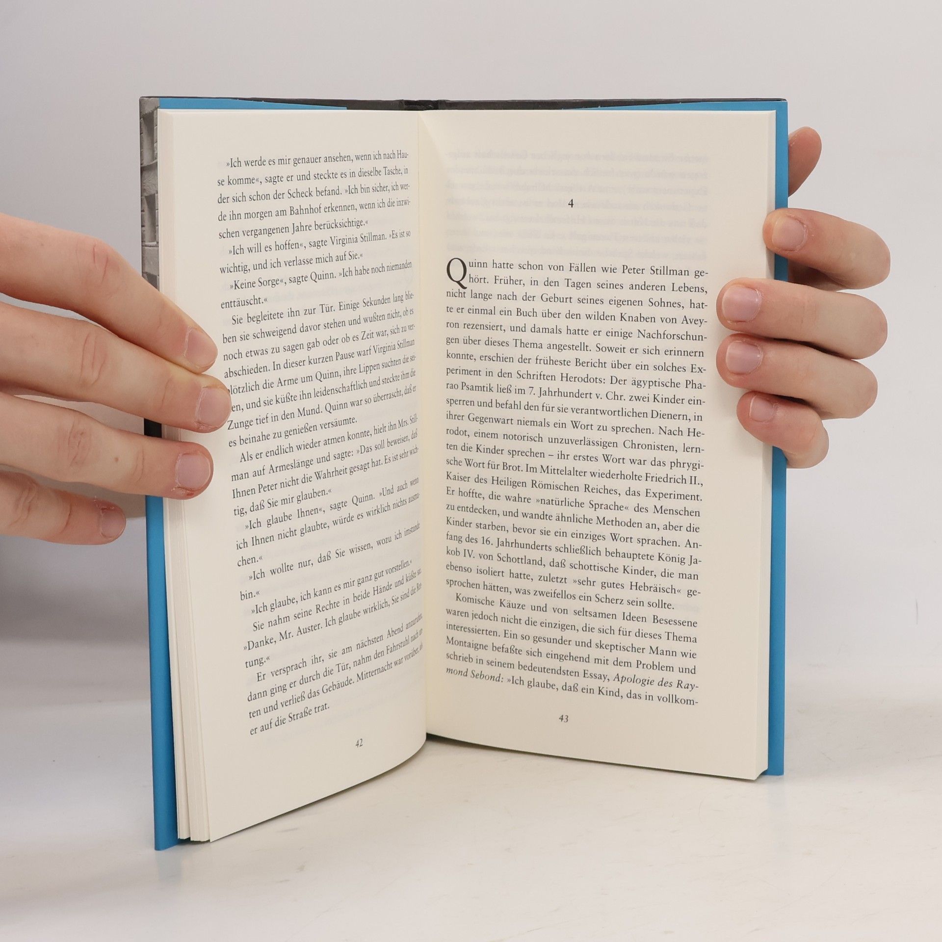 Paul Auster Stadt aus Glas