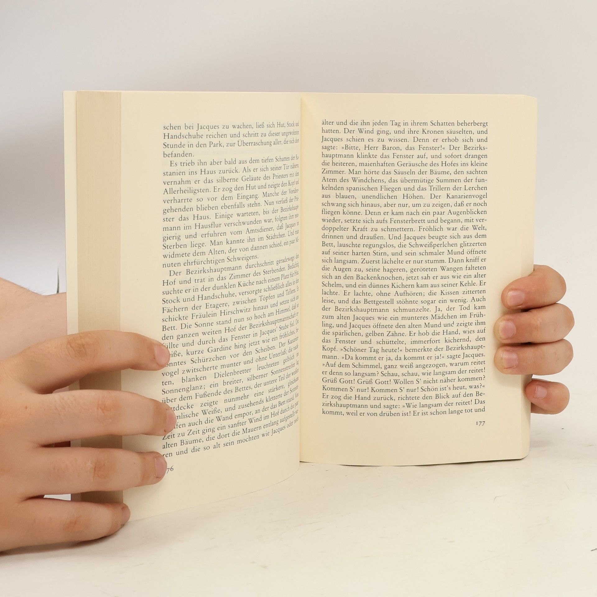 Joseph Roth Radetzkymarsch
