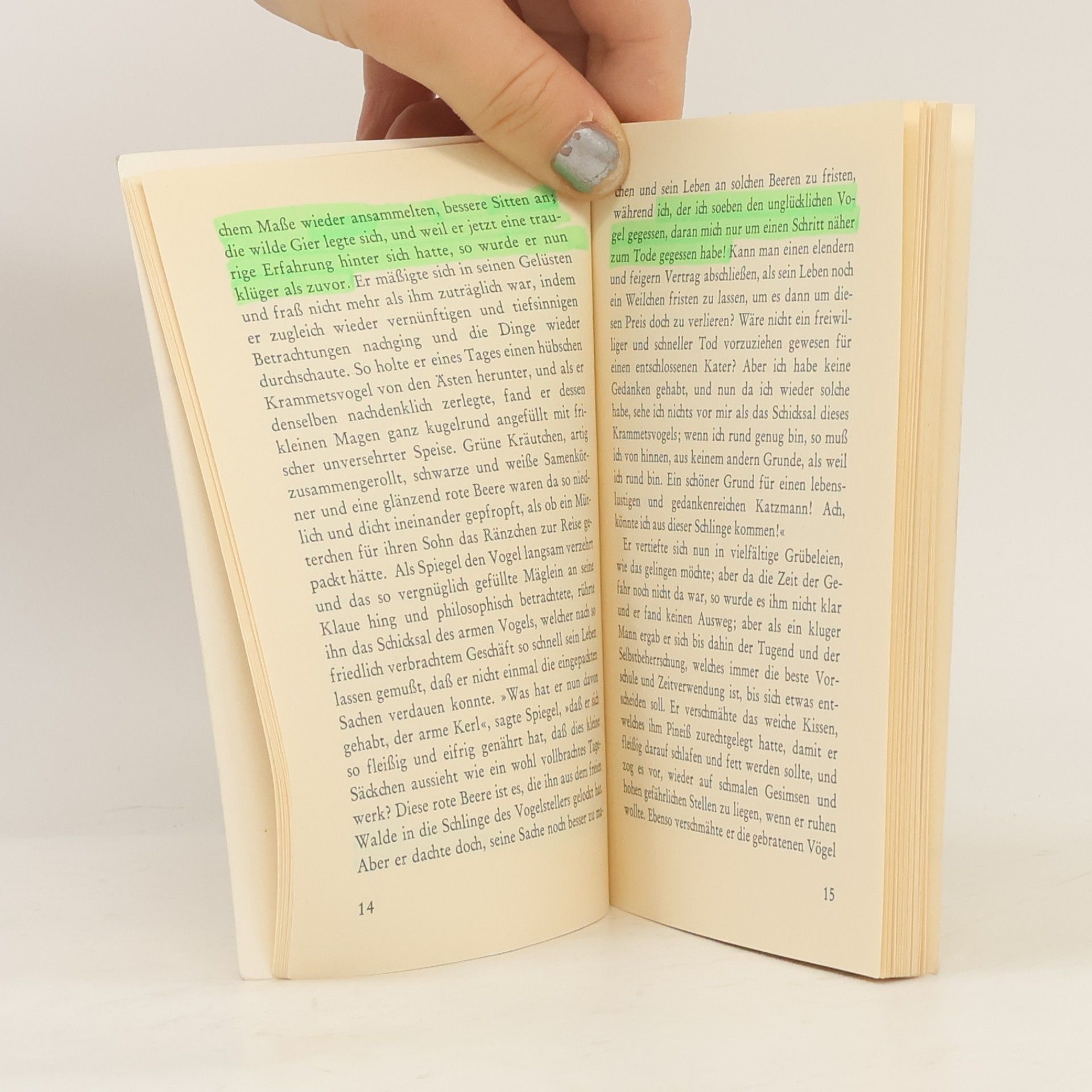 Gottfried Keller Spiegel, das Kätzchen