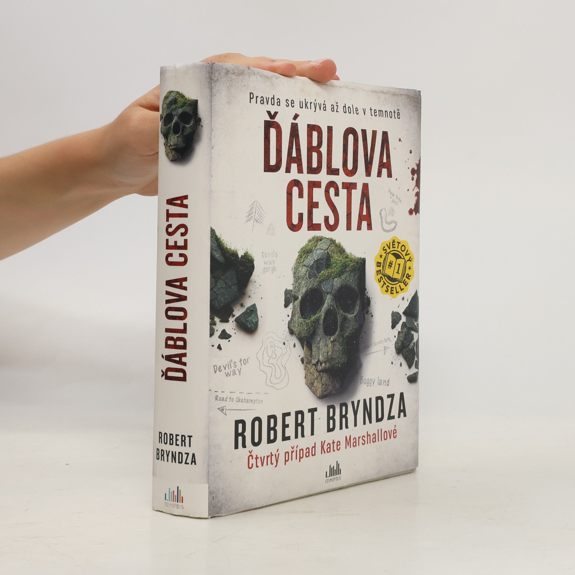 Robert Bryndza Ďáblova cesta
