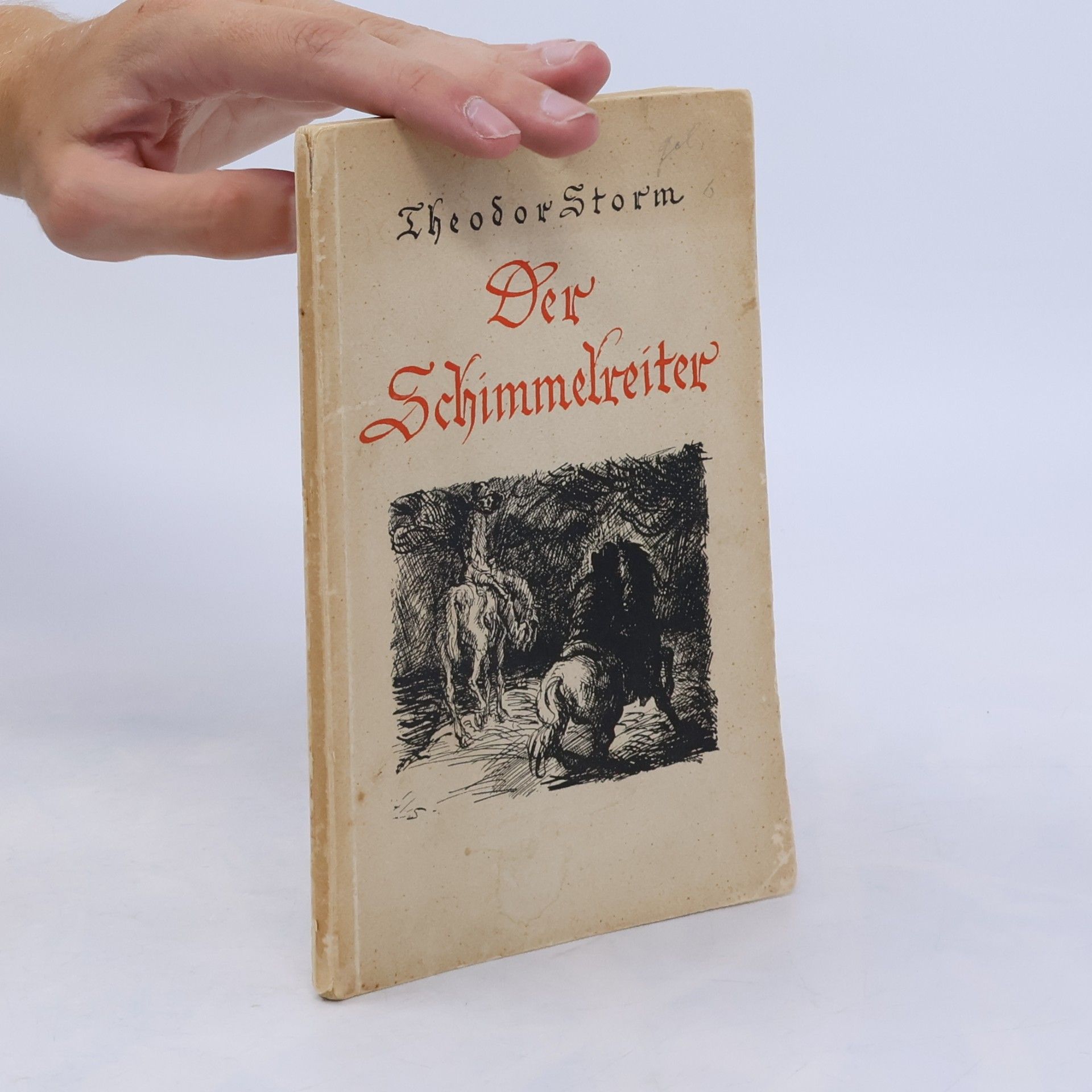 Theodor Storm Der Schimmelreiter