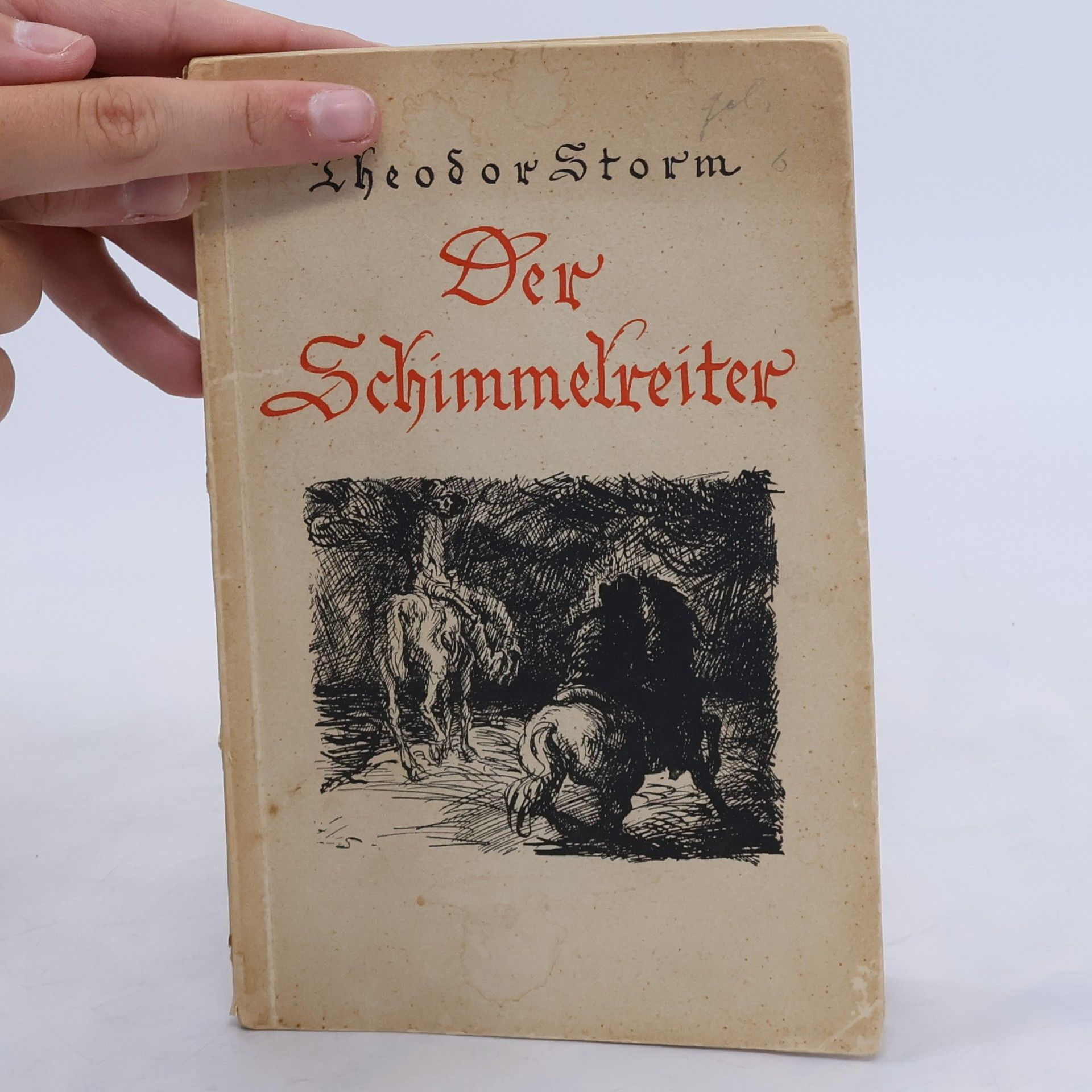 Theodor Storm Der Schimmelreiter