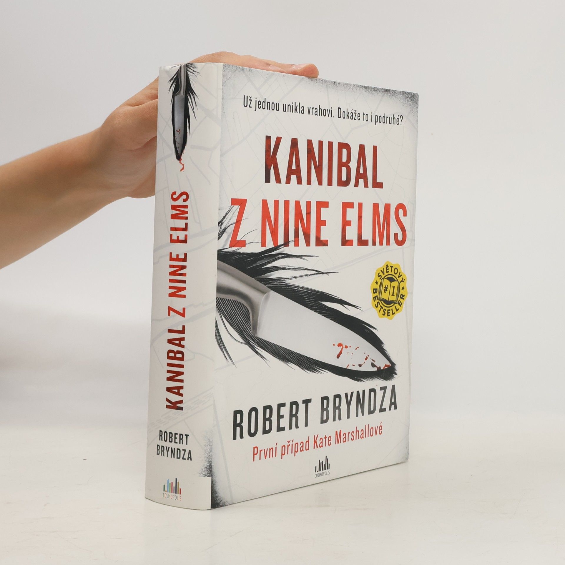 Robert Bryndza Kanibal z Nine Elms