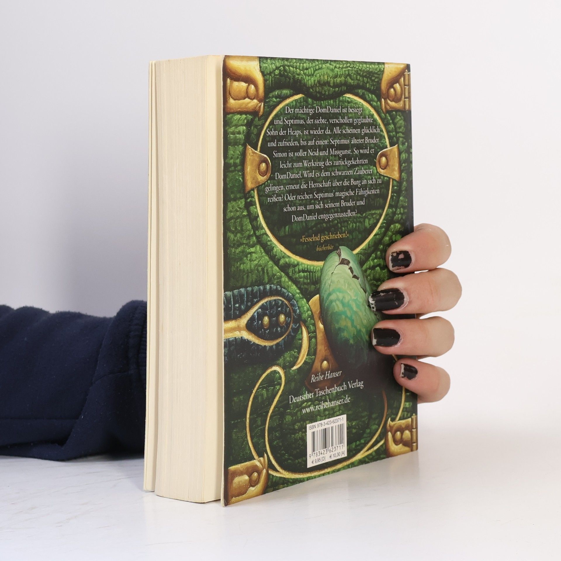 Angie Sage Septimus Heap: Flyte