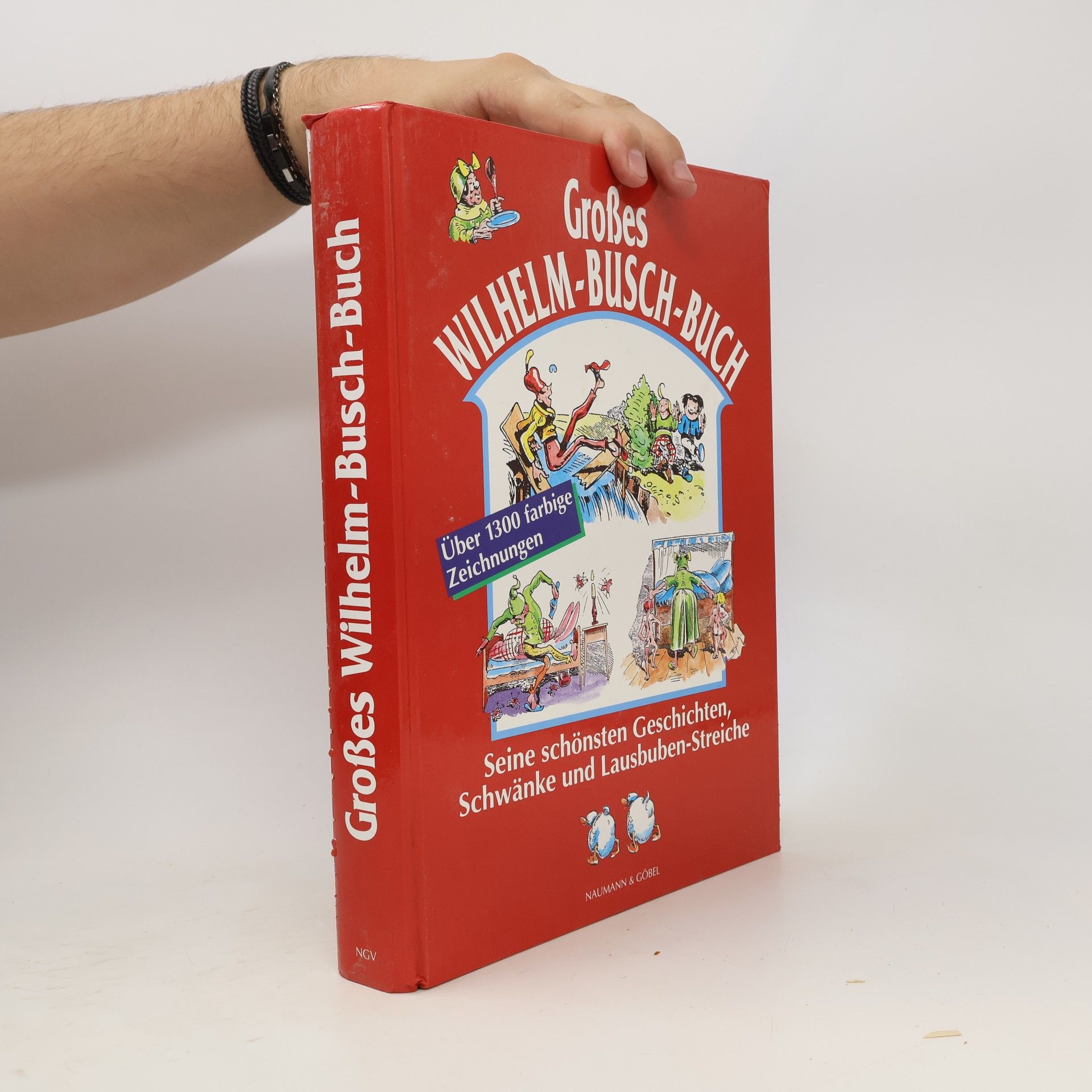 Autorenkollektiv Großes Wilhelm-Busch-Buch