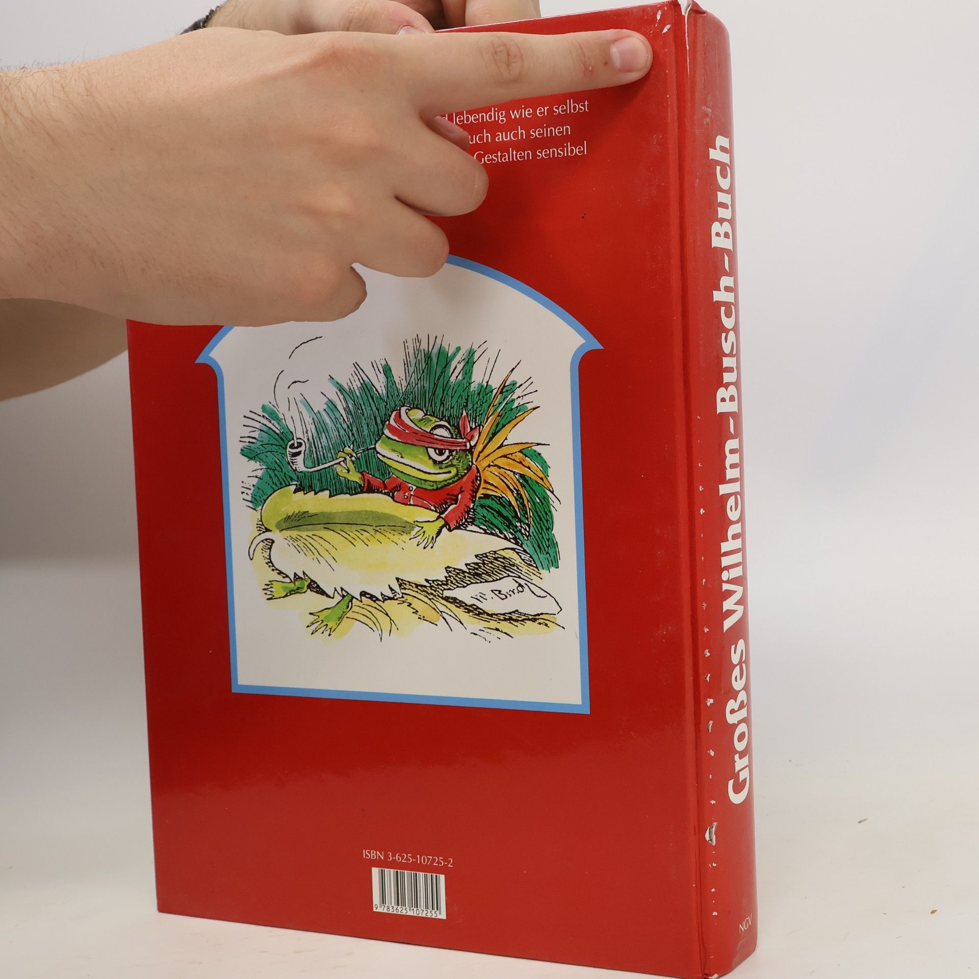 Autorenkollektiv Großes Wilhelm-Busch-Buch