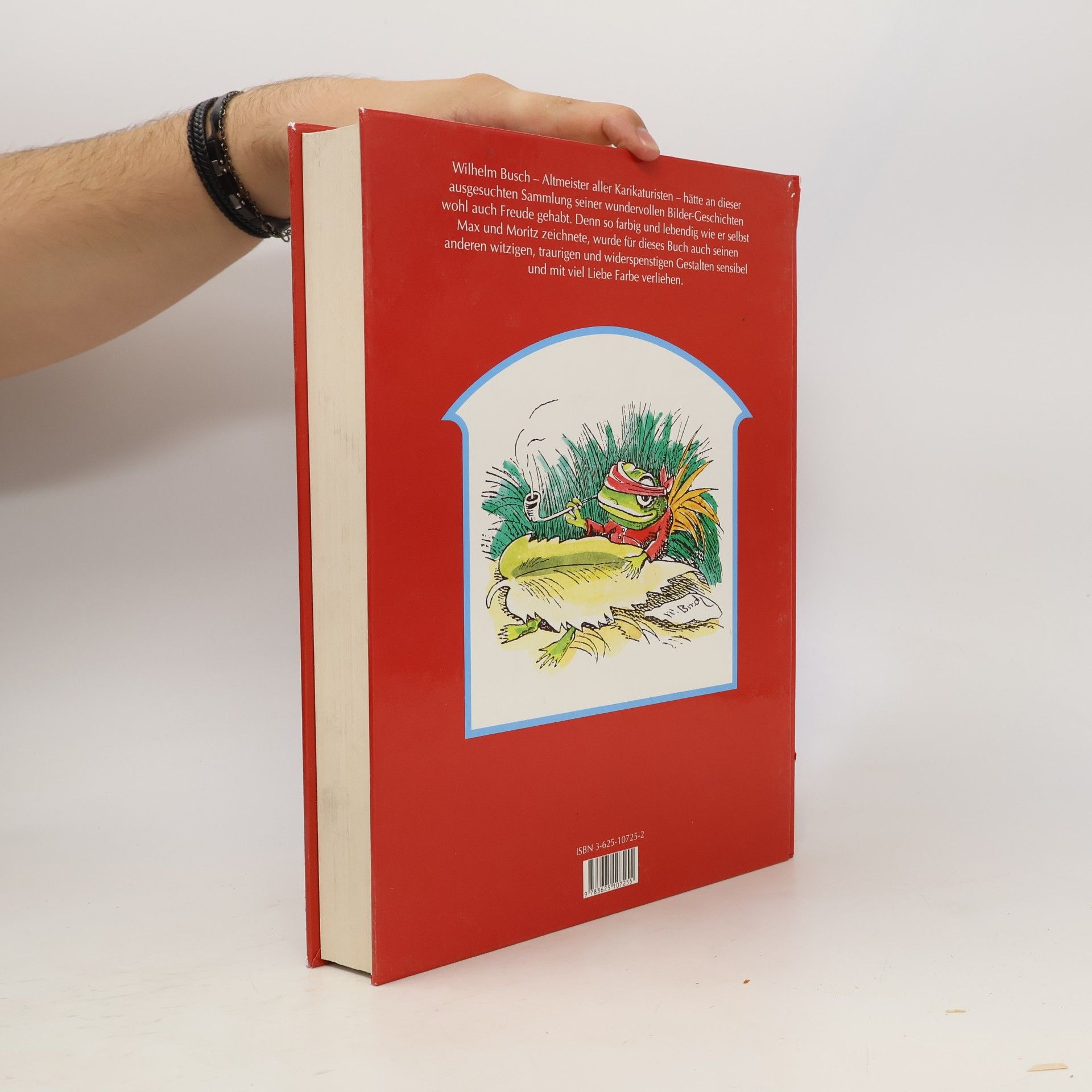 Autorenkollektiv Großes Wilhelm-Busch-Buch
