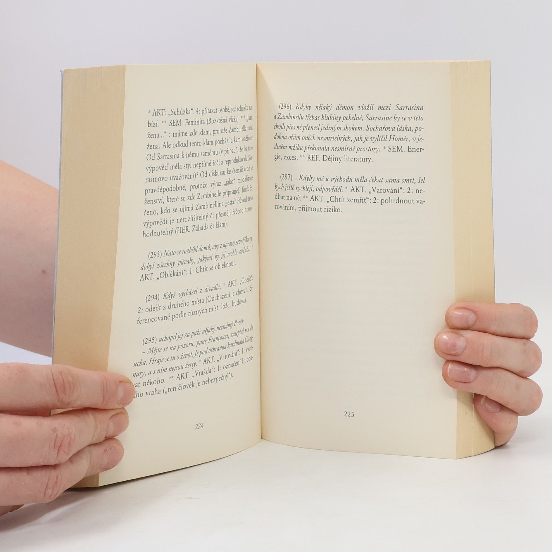 Roland Barthes S/z