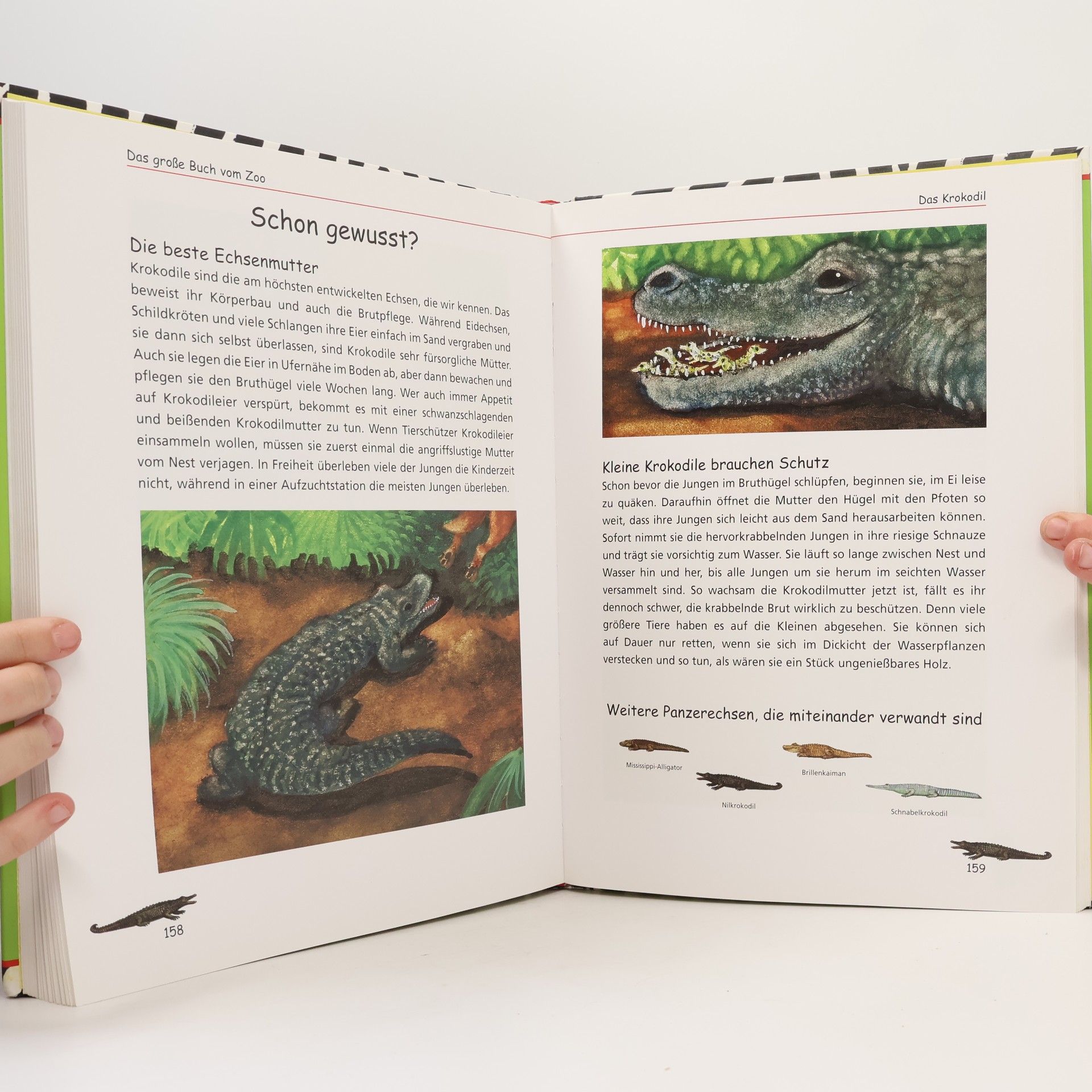 Pieter Kunstreich Das große Buch vom Zoo