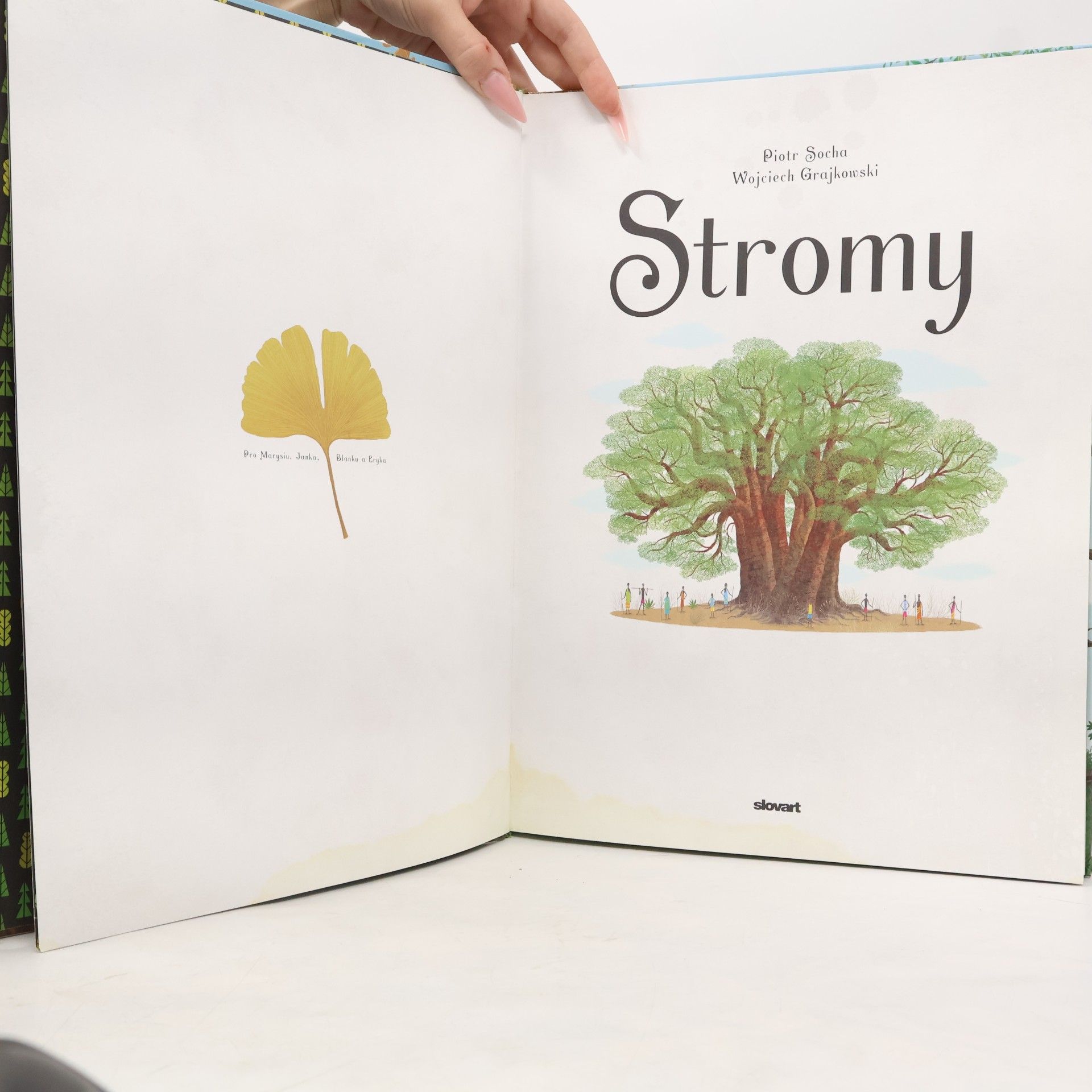 Piotr Socha Stromy