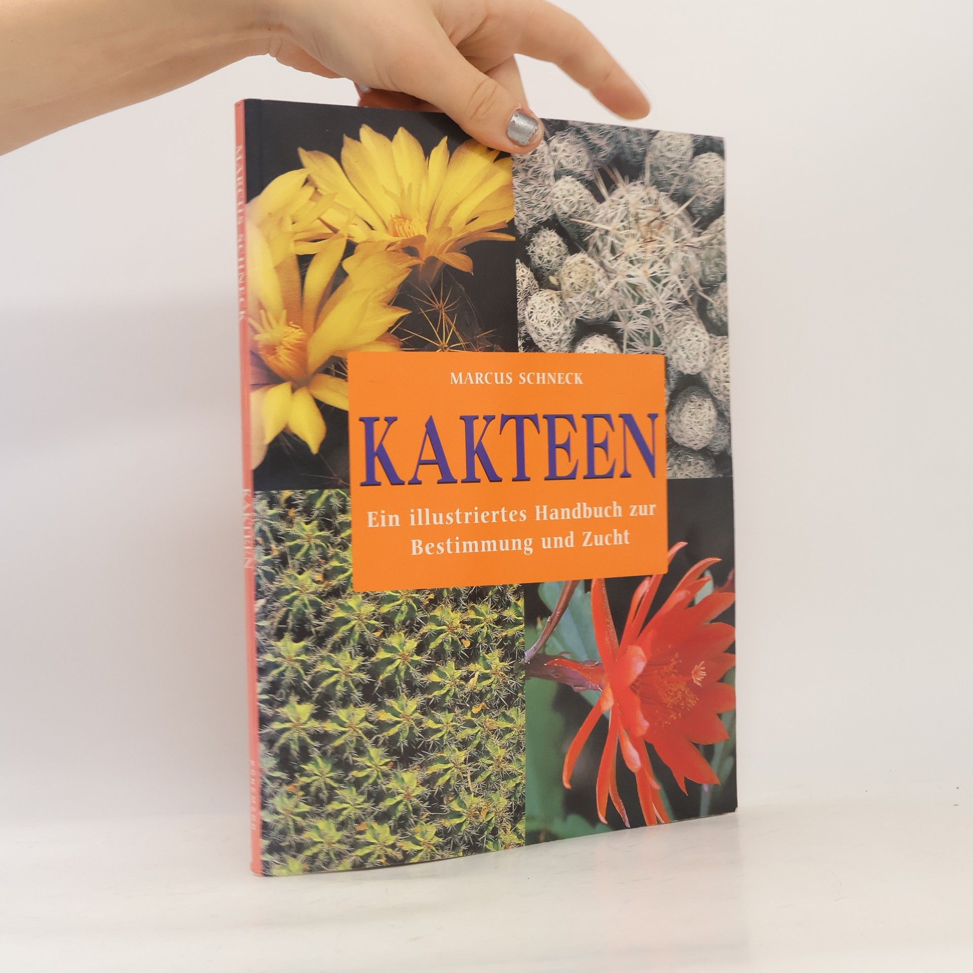 Marcus Schneck Kakteen