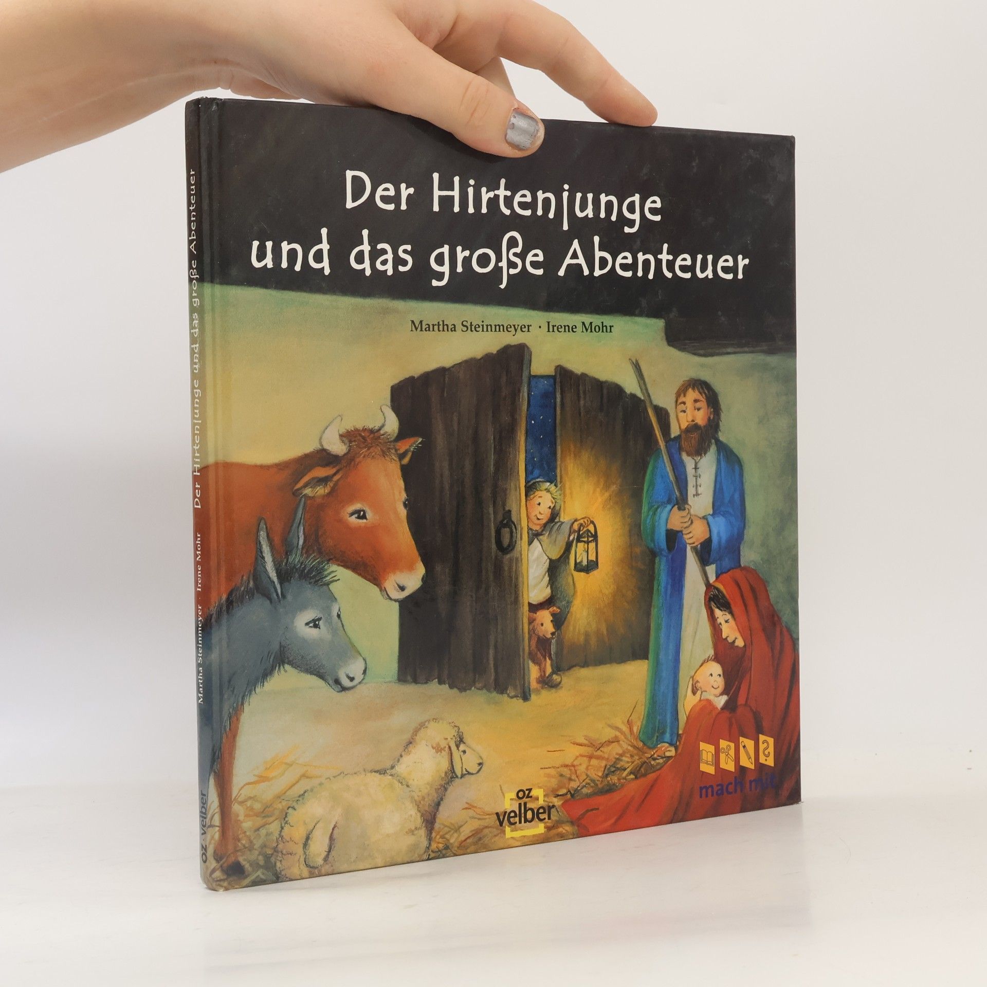 Martha Steinmeyer Der Hirtenjunge und das große Abenteuer