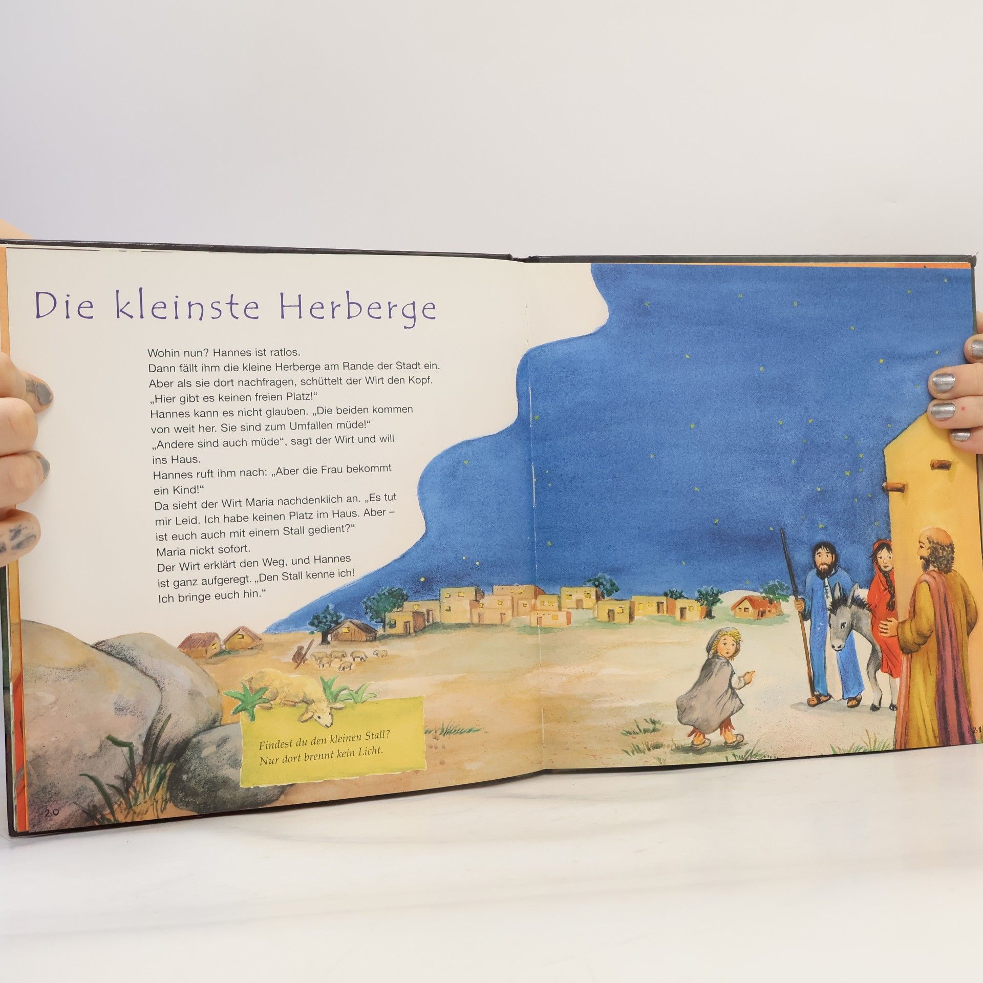 Martha Steinmeyer Der Hirtenjunge und das große Abenteuer