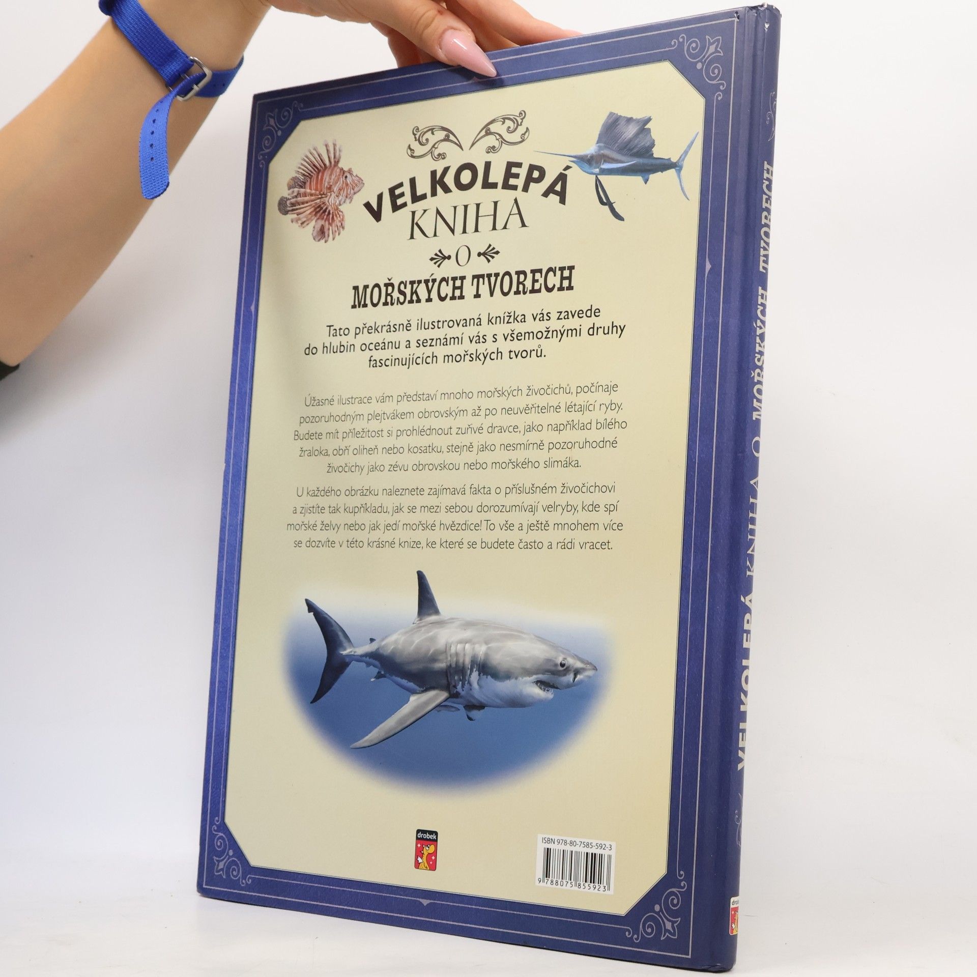 Tom Jackson Velkolepá kniha o mořských tvorech