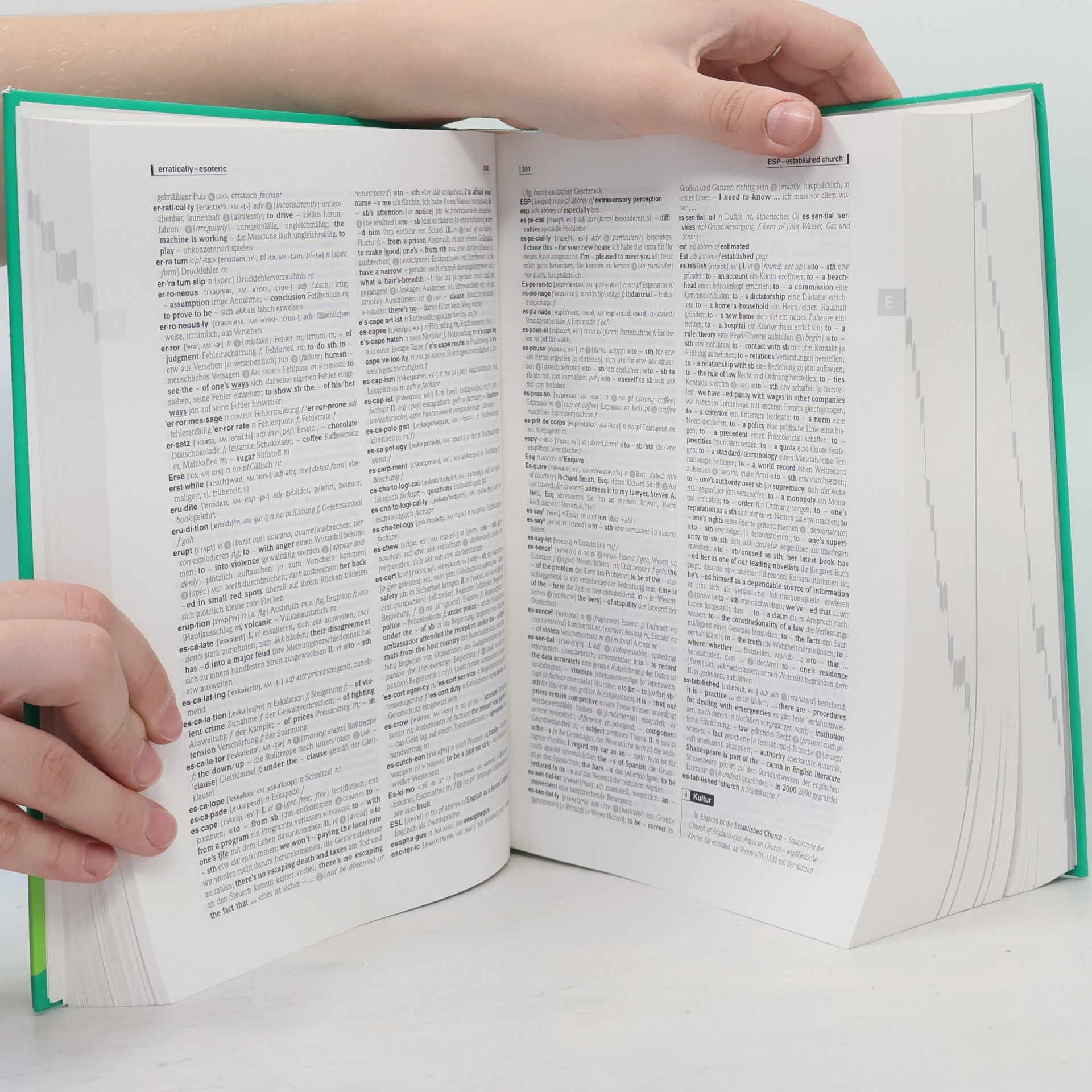 Kolektiv autorů Schule und Studium Englisch