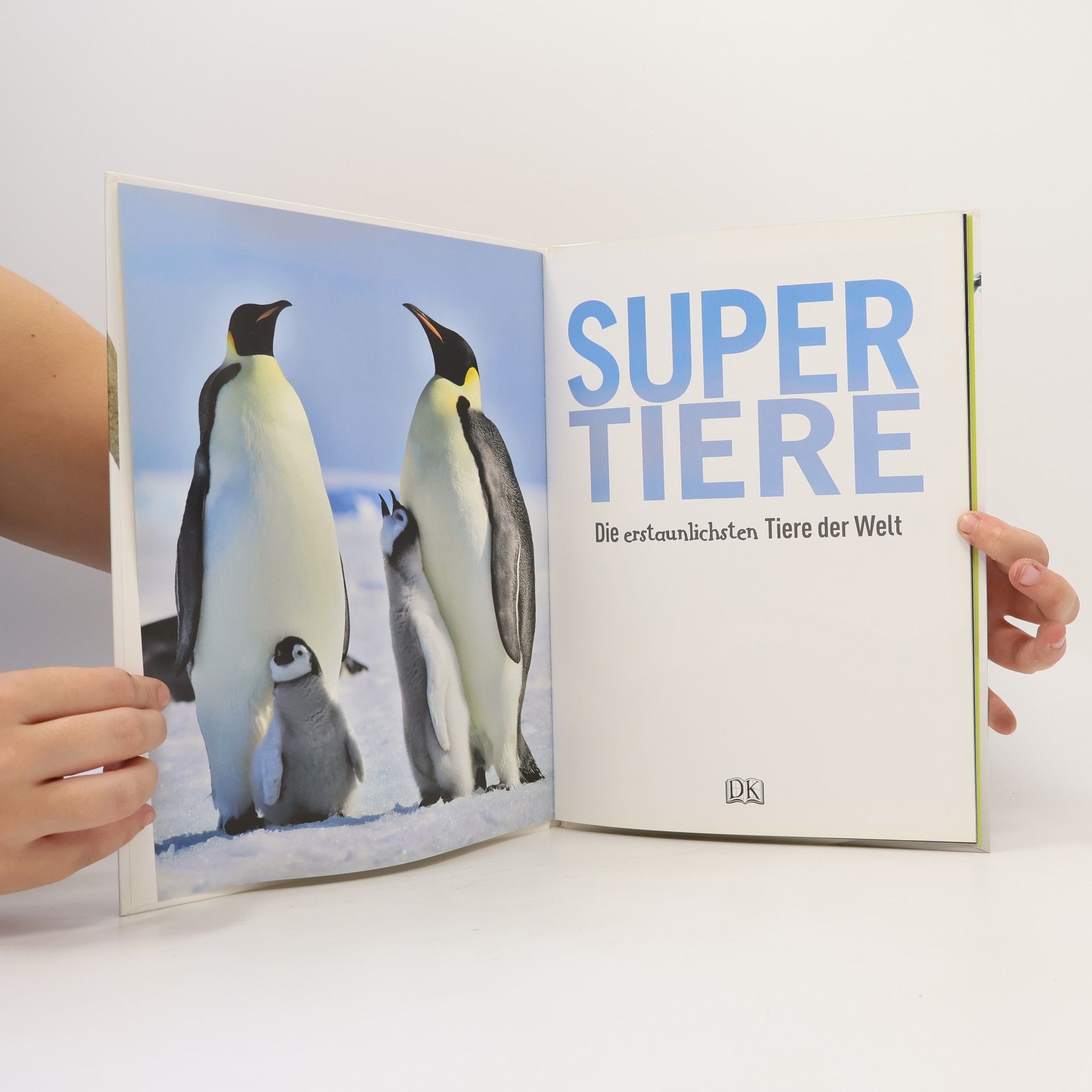 Autorenkollektiv Supertiere 2