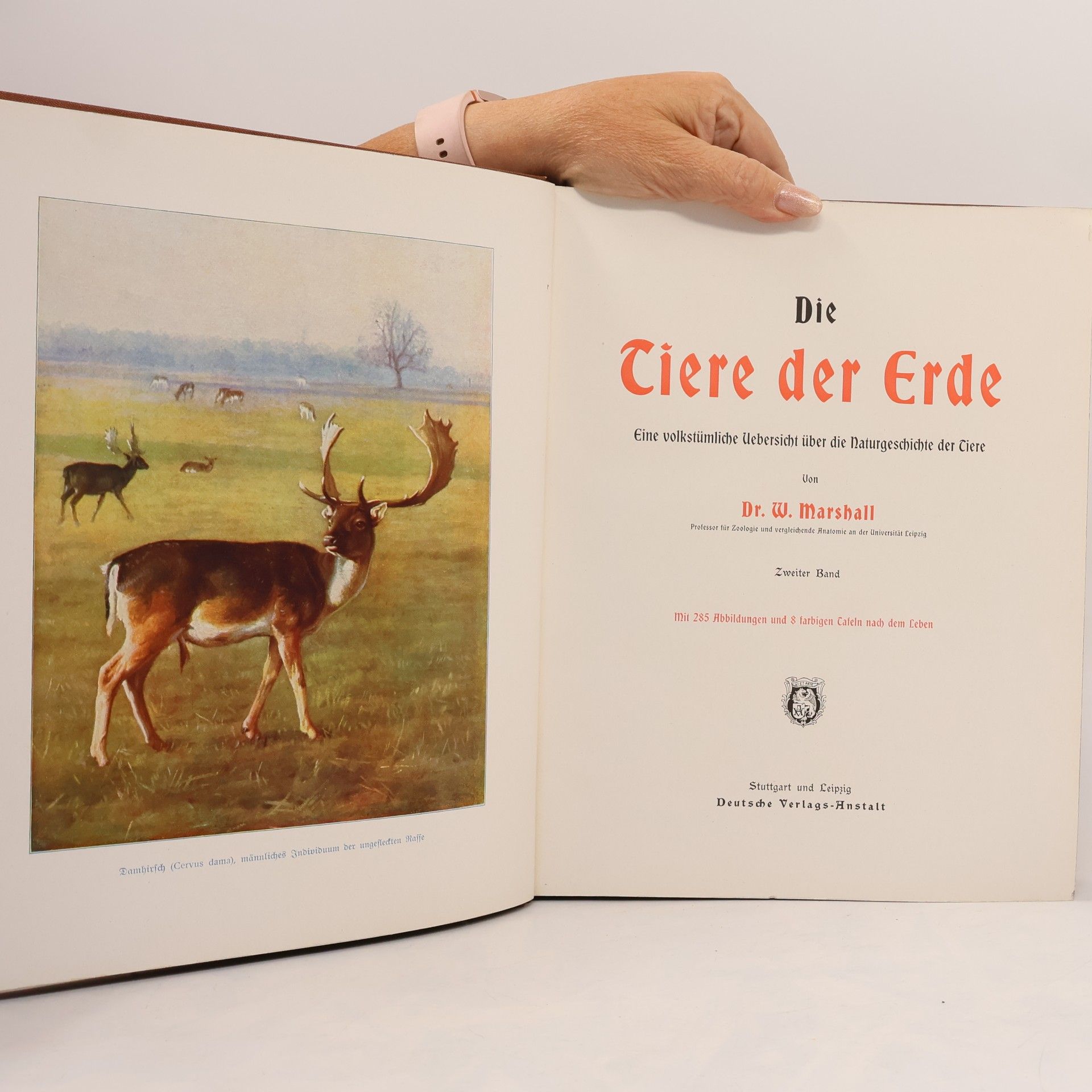 W. Marshall Die Tiere der Erde 2