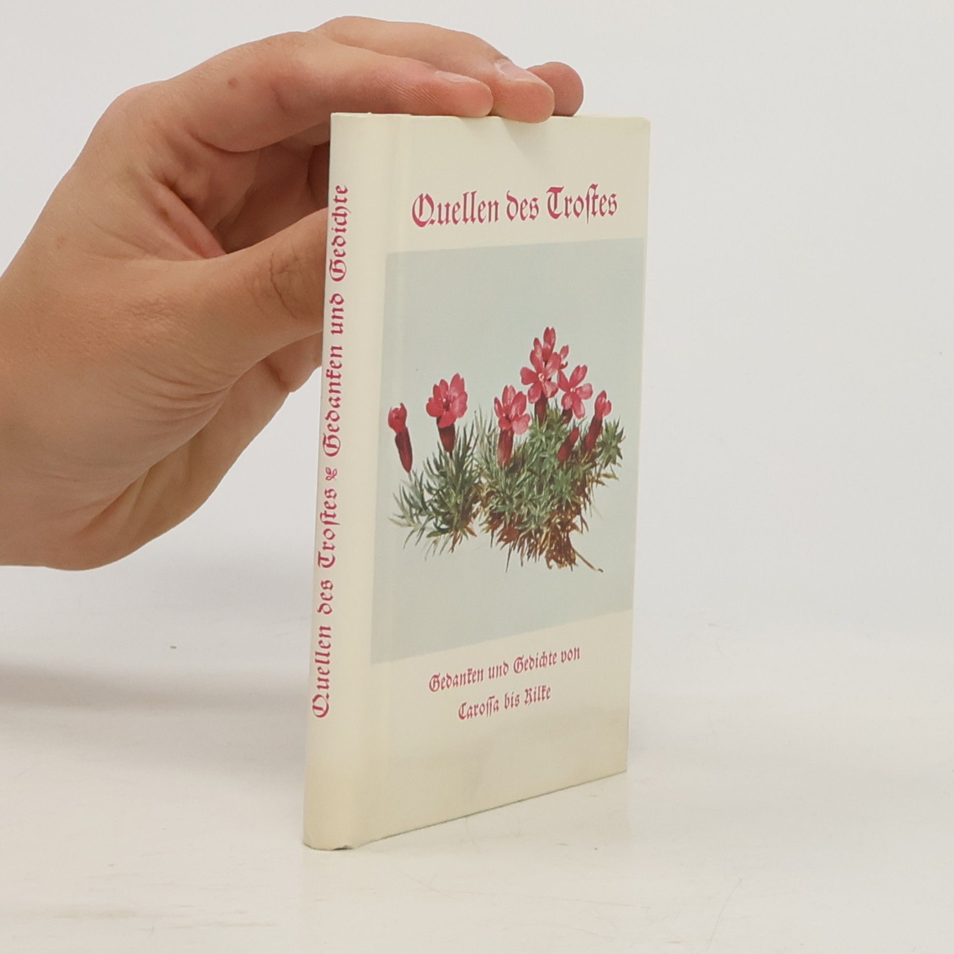 E. Hettinger Quellen des Trostes