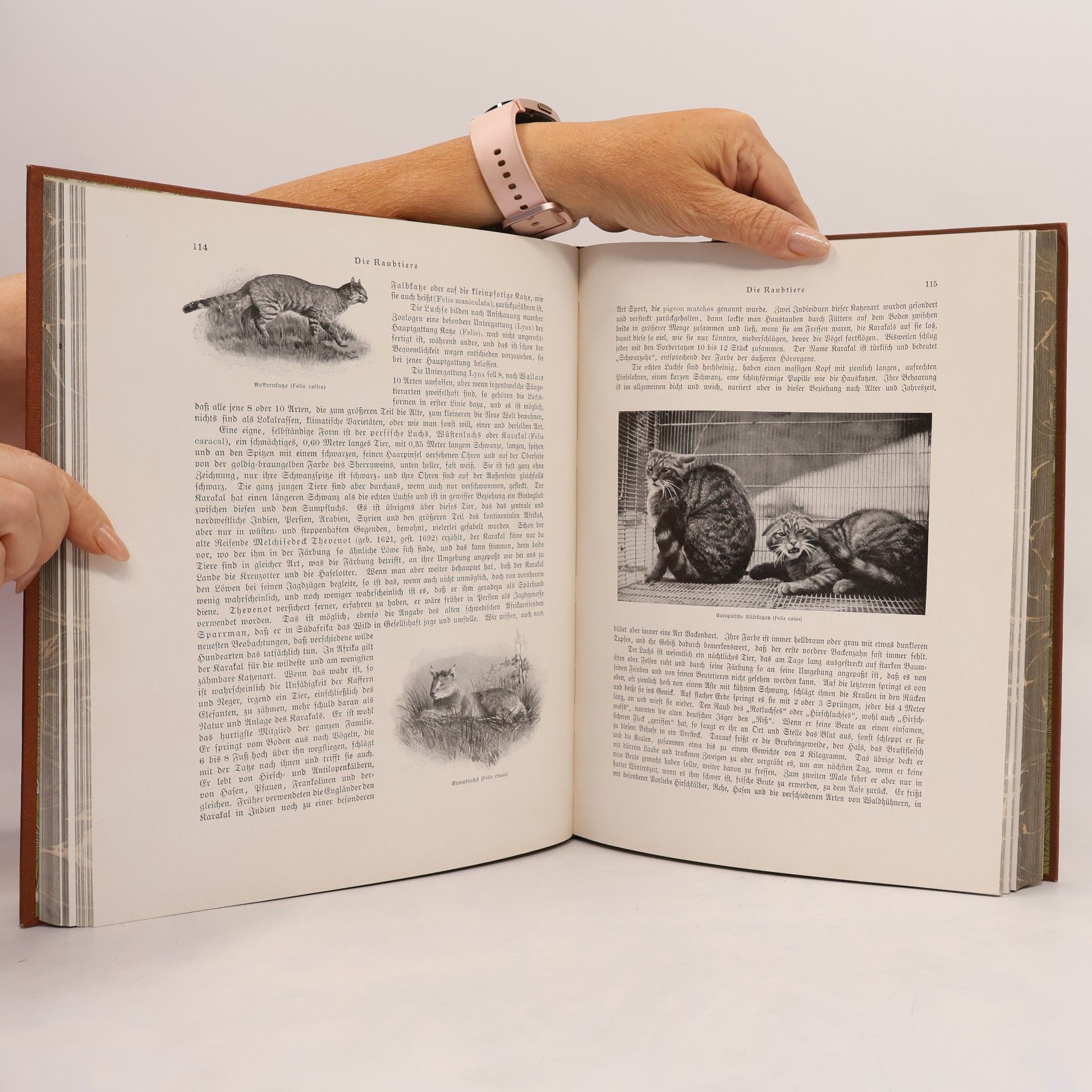 W. Marshall Die Tiere der Erde