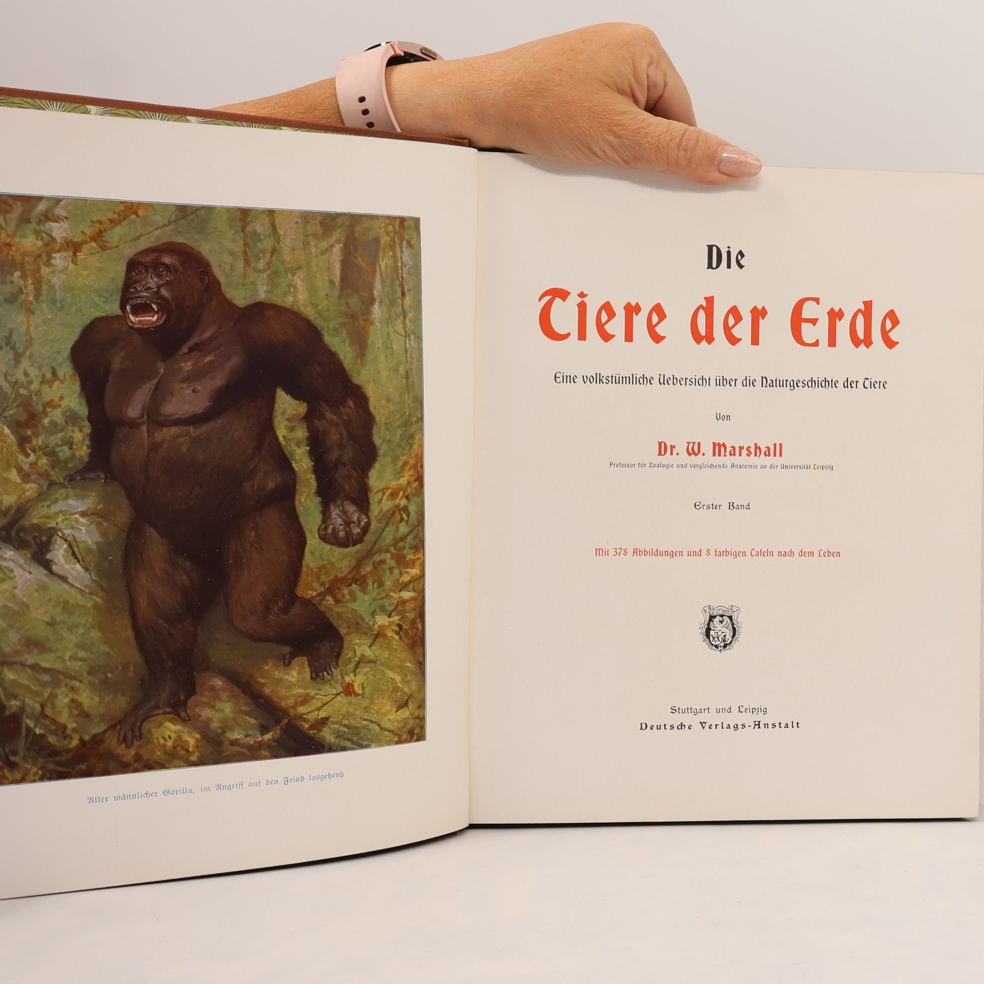 W. Marshall Die Tiere der Erde