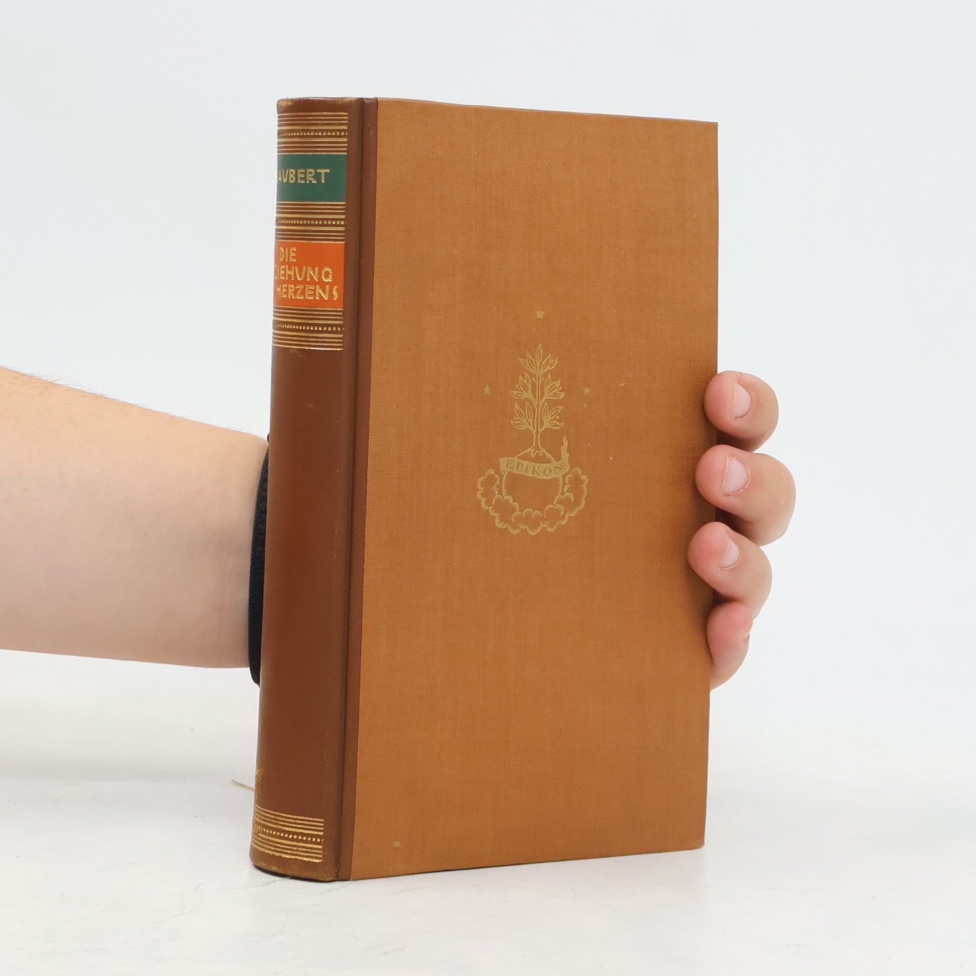 Gustave Flaubert Die Erziehung des Herzens