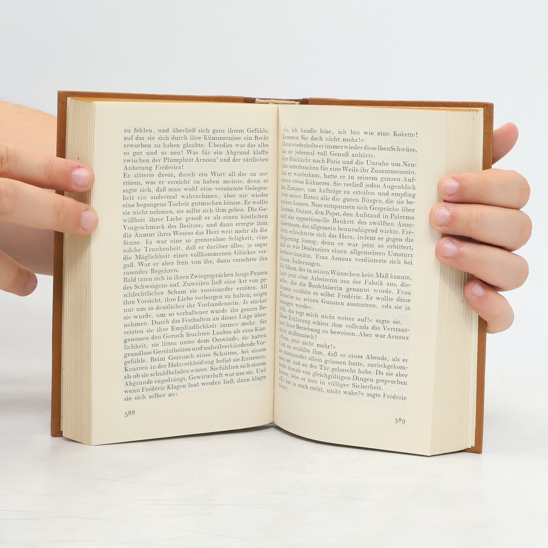 Gustave Flaubert Die Erziehung des Herzens