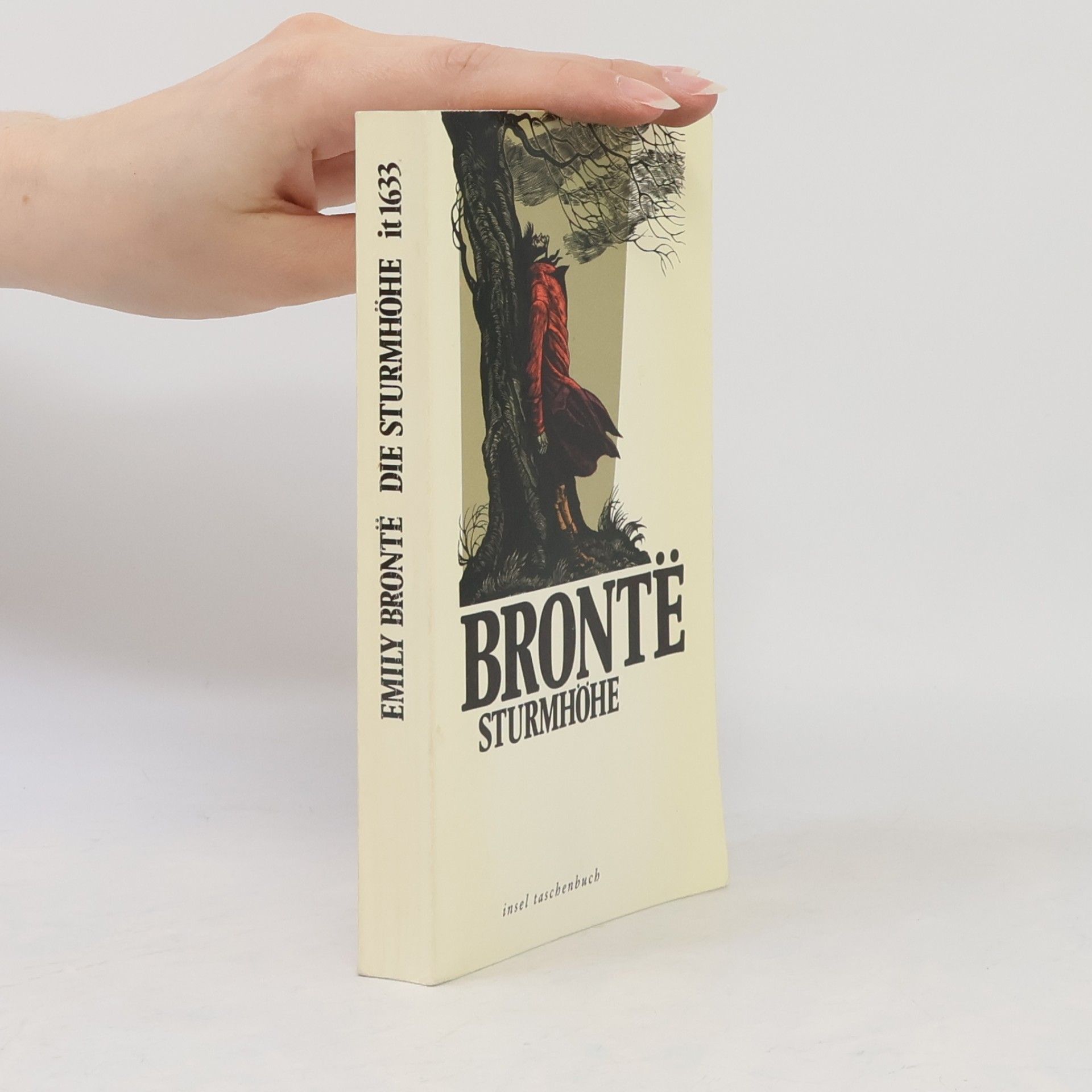 Emily Brontëová Die Sturmhöhe
