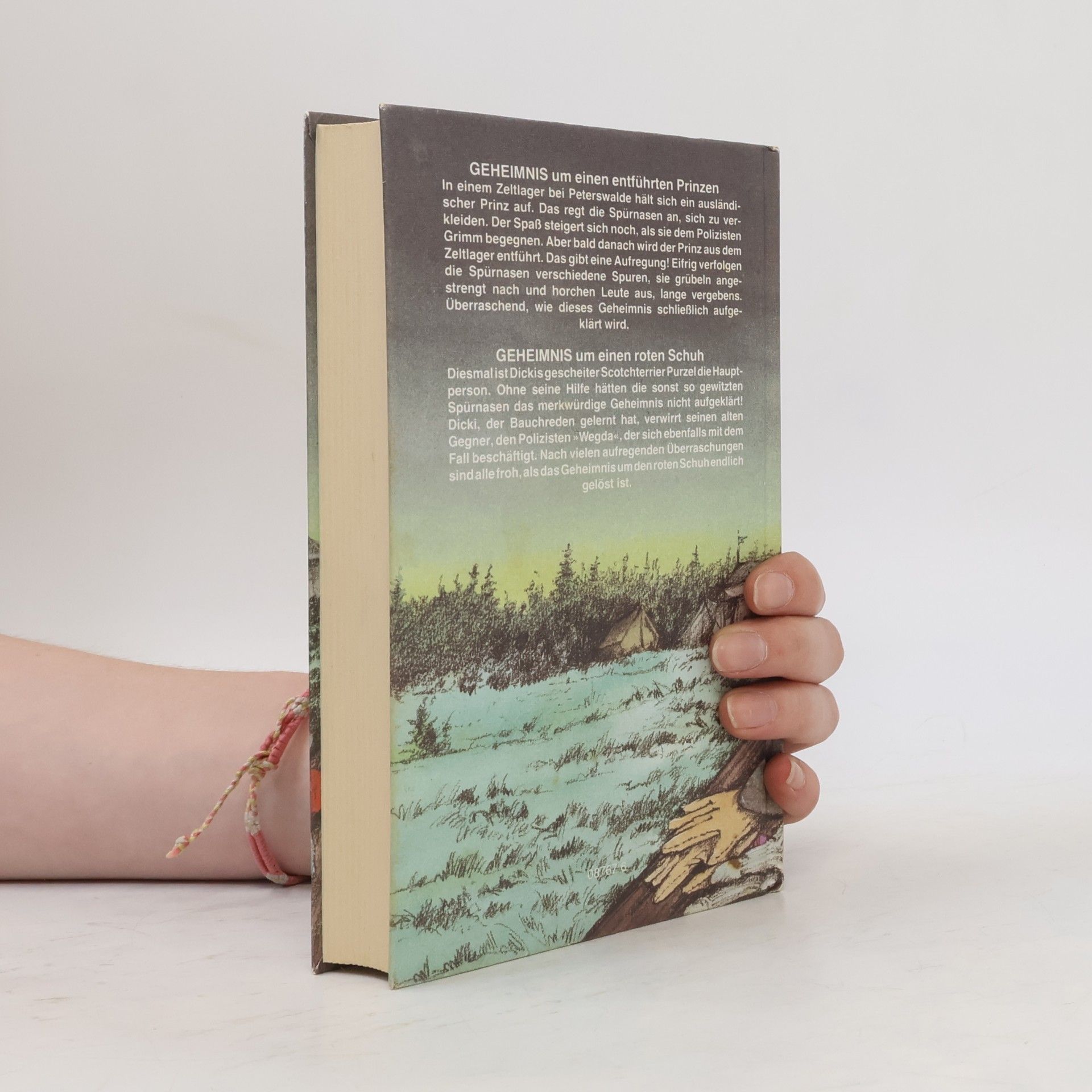 Enid Blyton Geheimnis um einen entführten Prinzen um einen roten Schuh