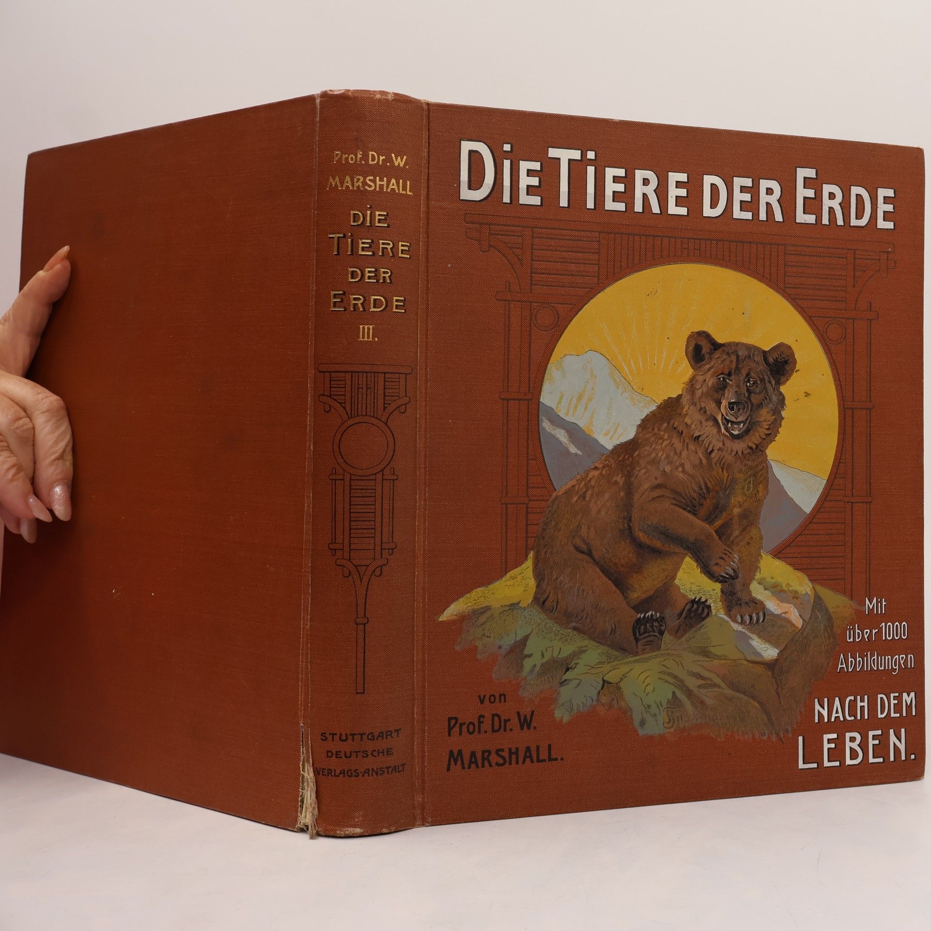 W. Marshall Die Tiere der Erde 3