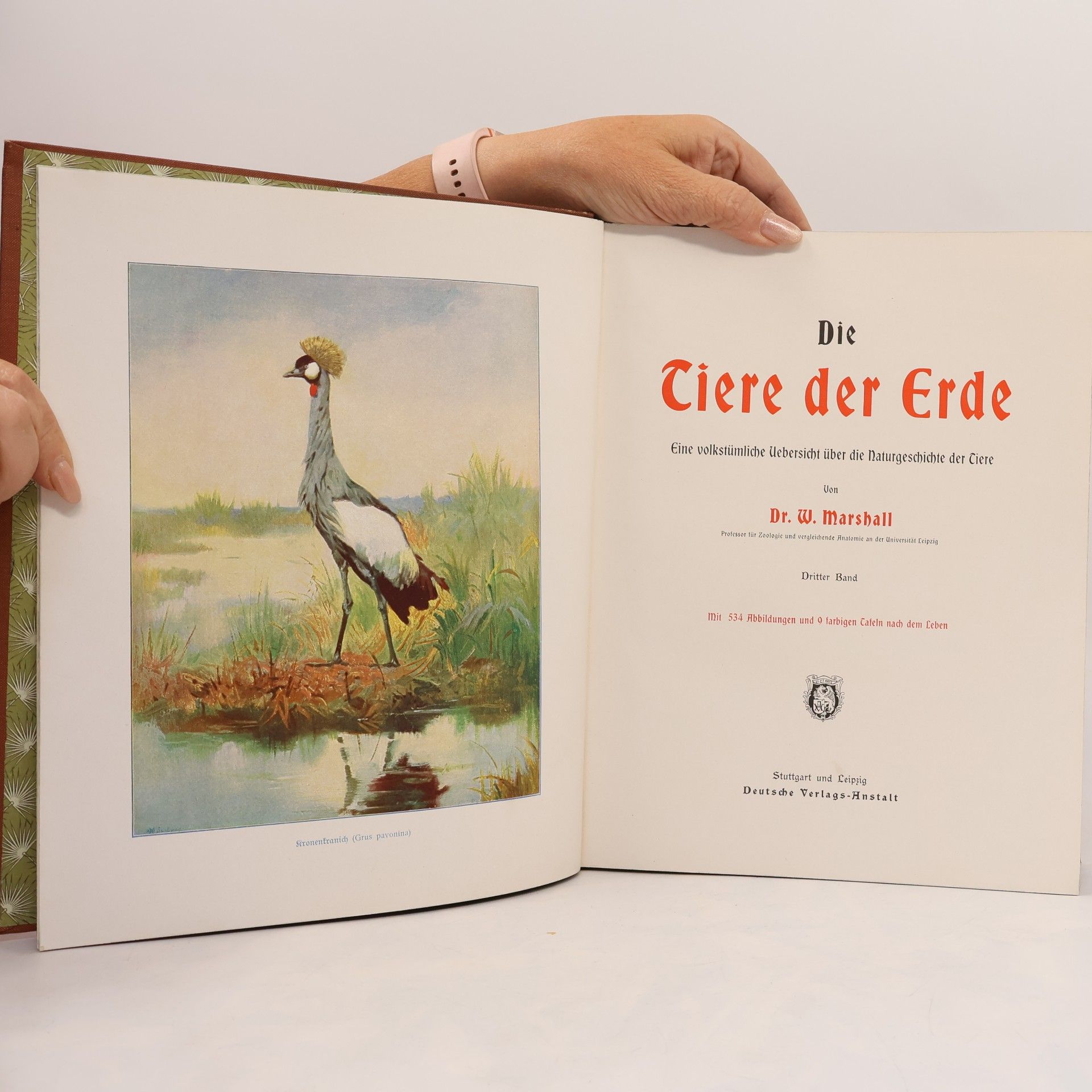 W. Marshall Die Tiere der Erde 3