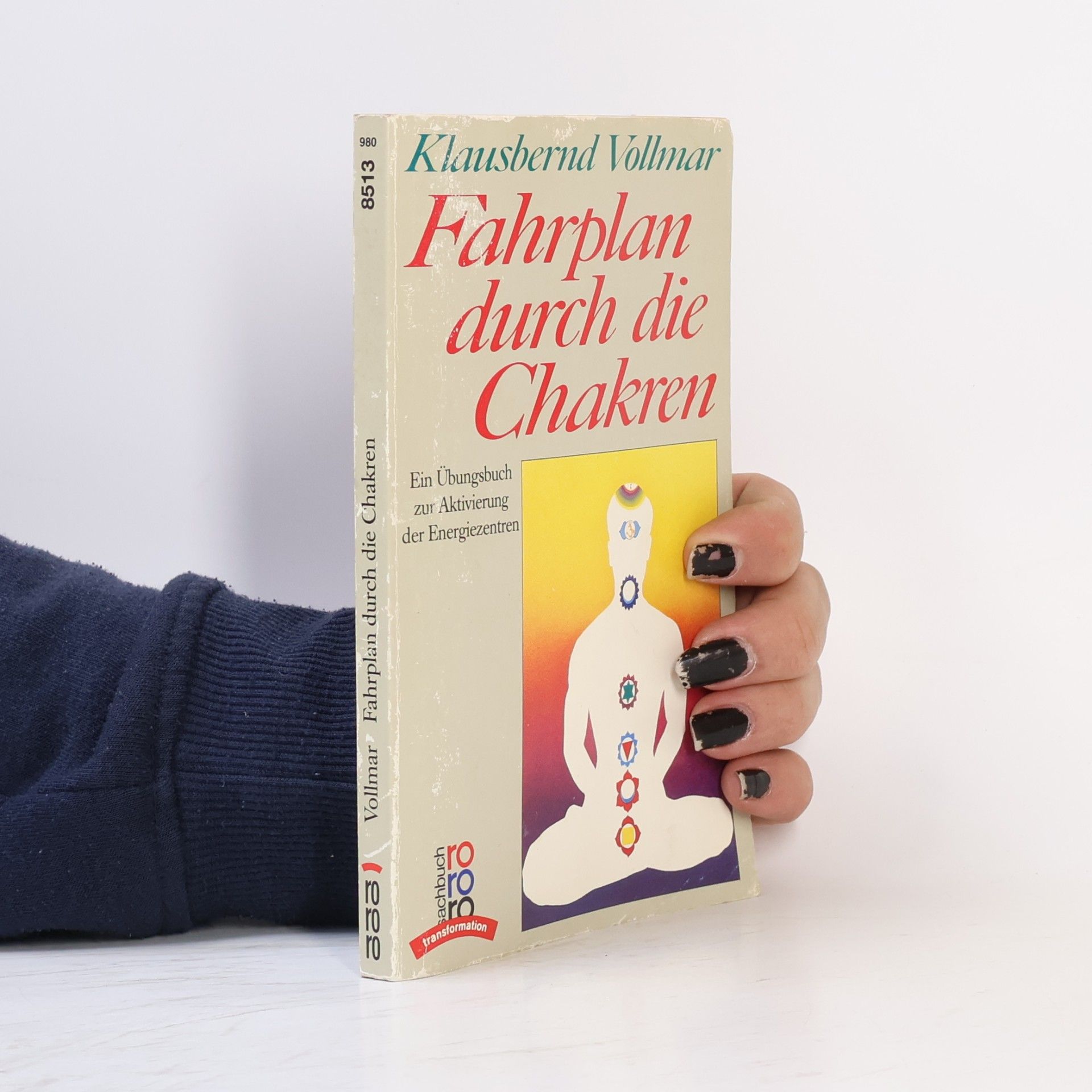 Klausbernd Vollmar Fahrplan durch die Chakren