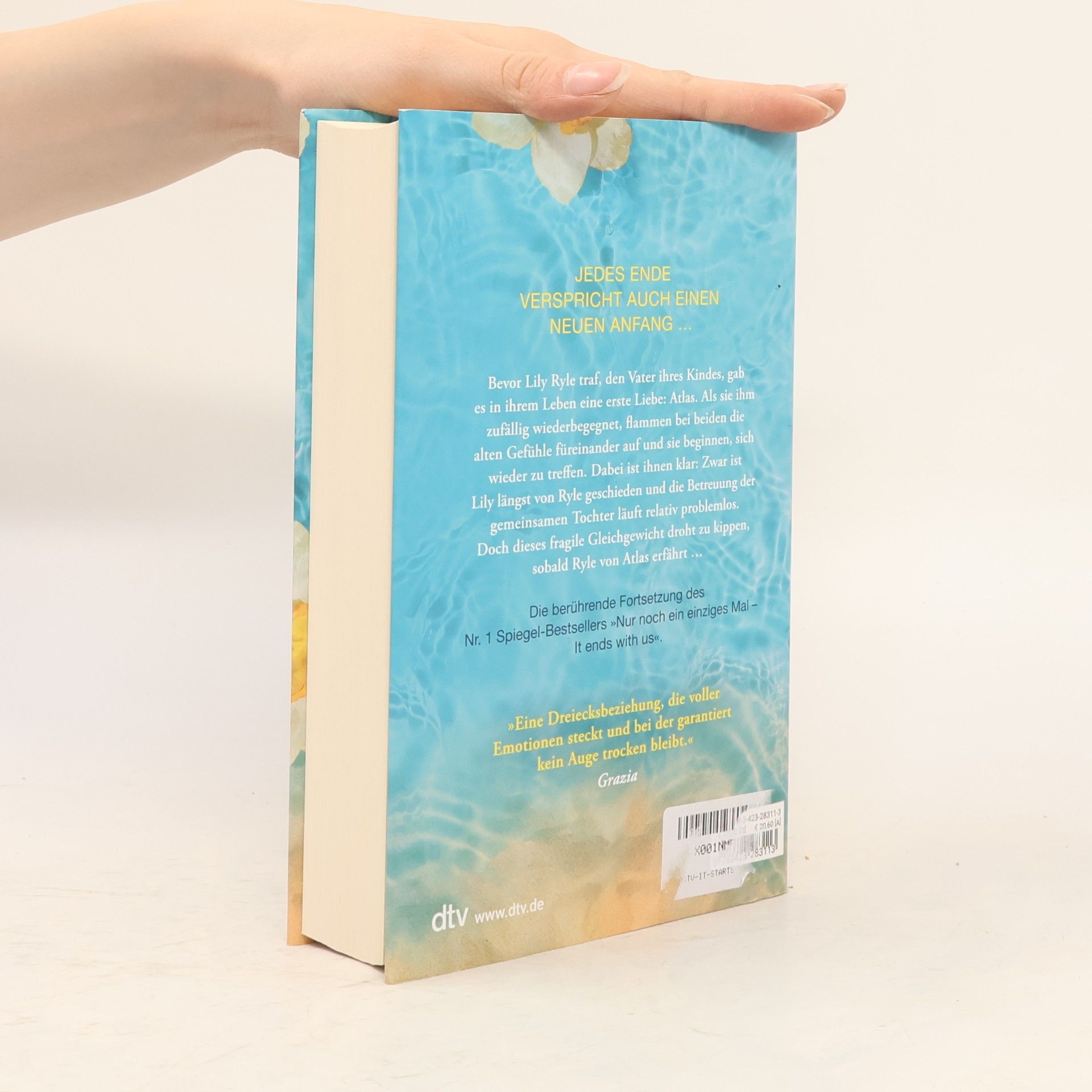 Colleen Hoover Nur noch einmal und für immer