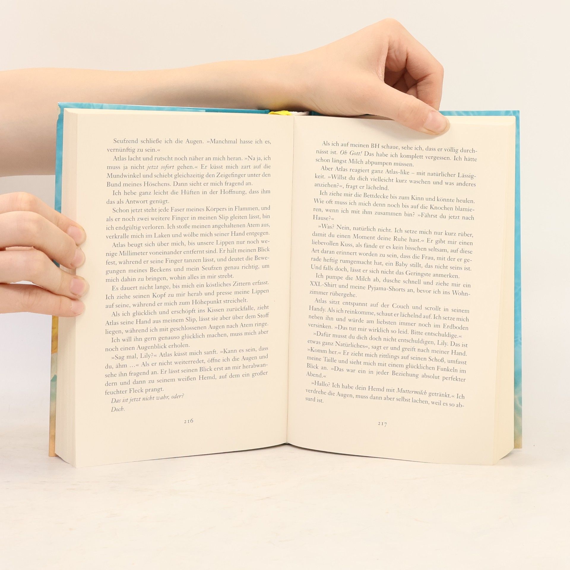 Colleen Hoover Nur noch einmal und für immer