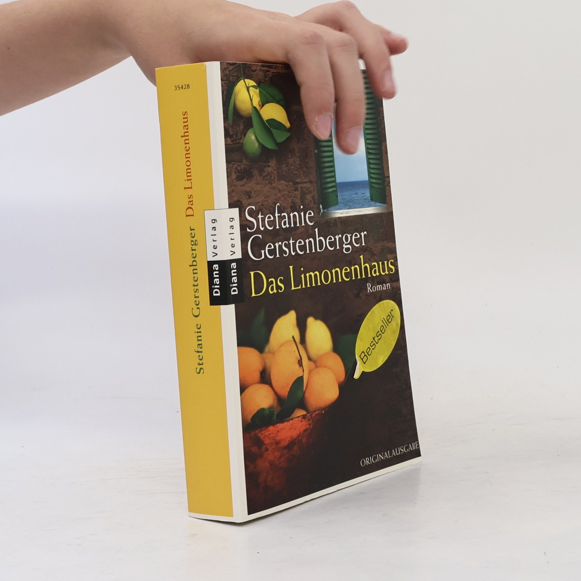 Stephanie Gerstenberger Das Limonenhaus